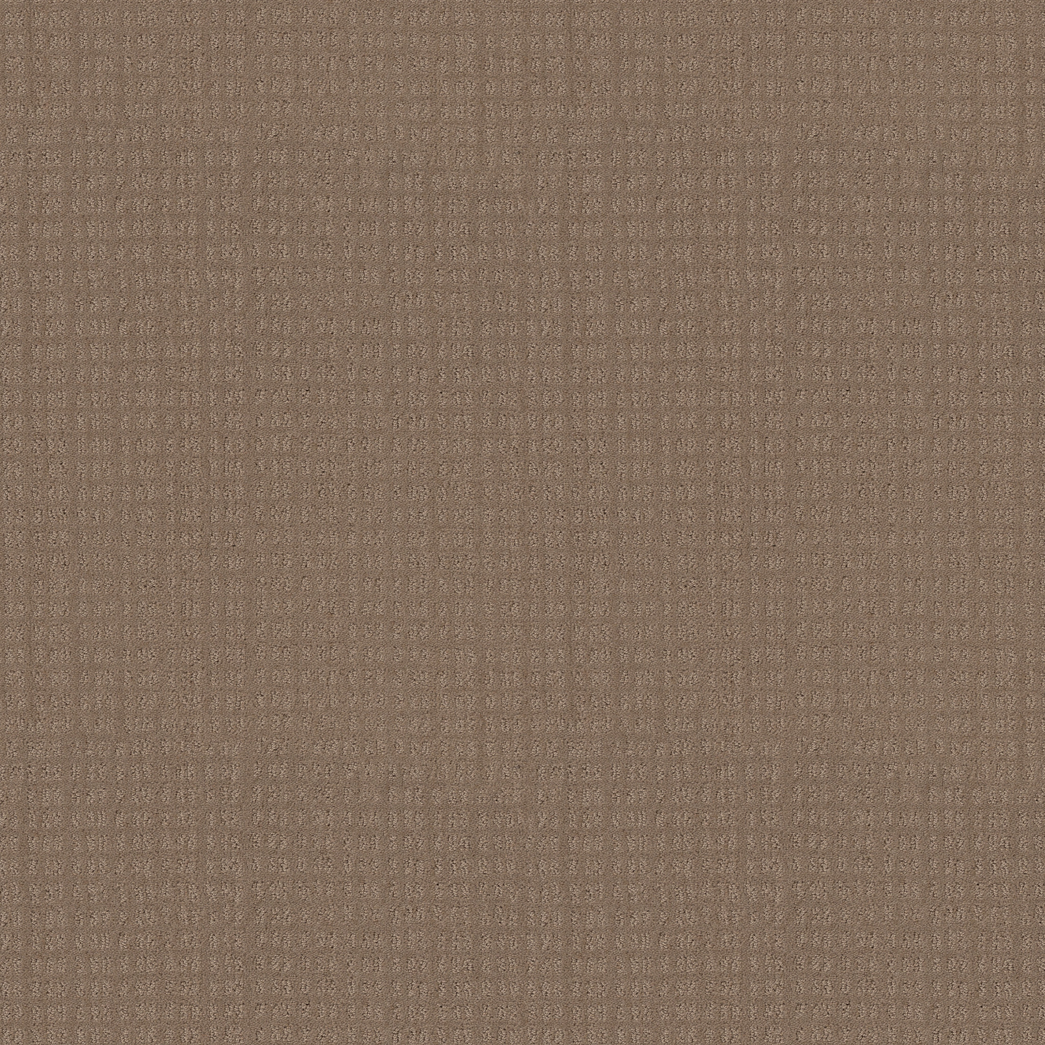 Awaken - Raw Wood - HGR48_00720