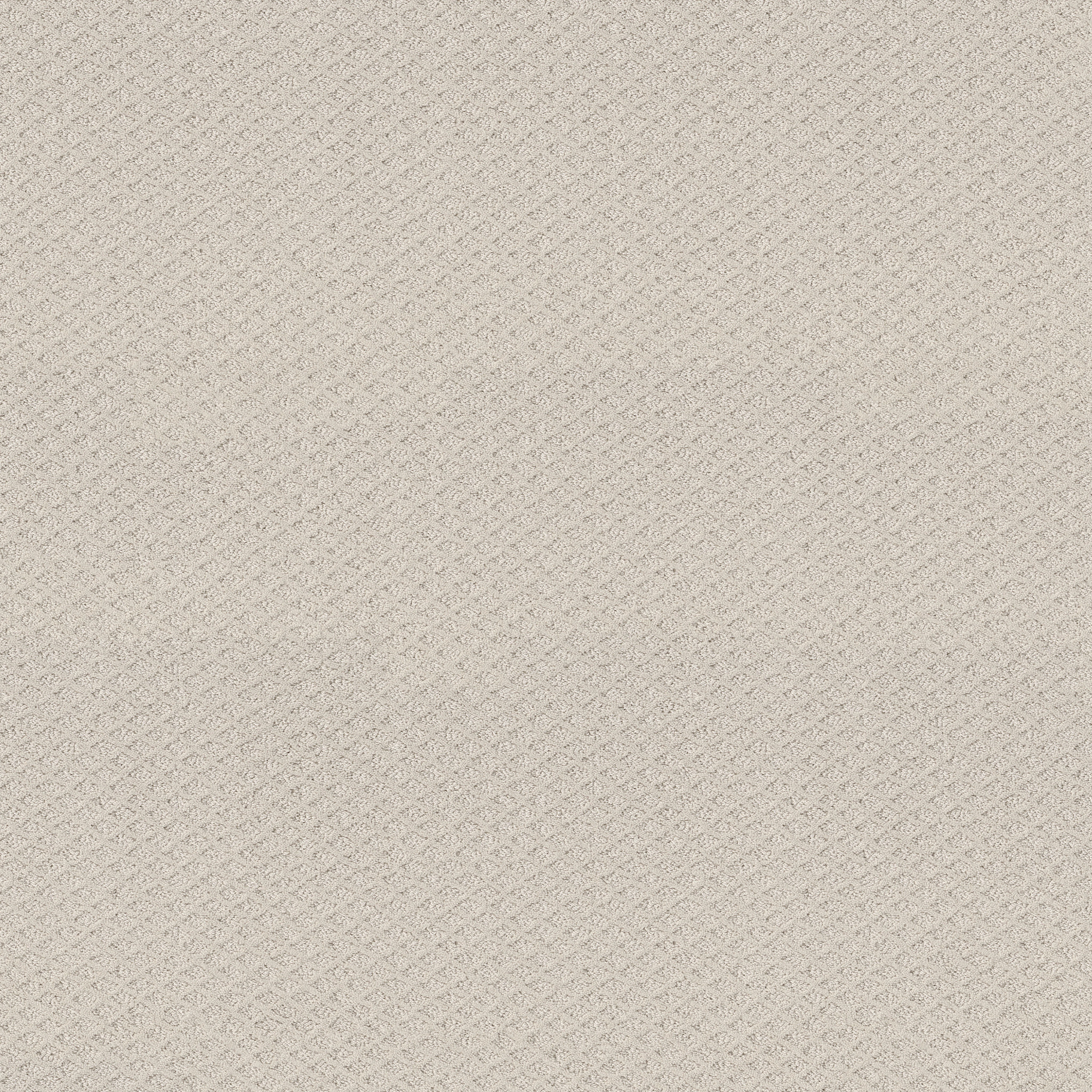 Jubilation-Winters Dawn-HGR49_00102