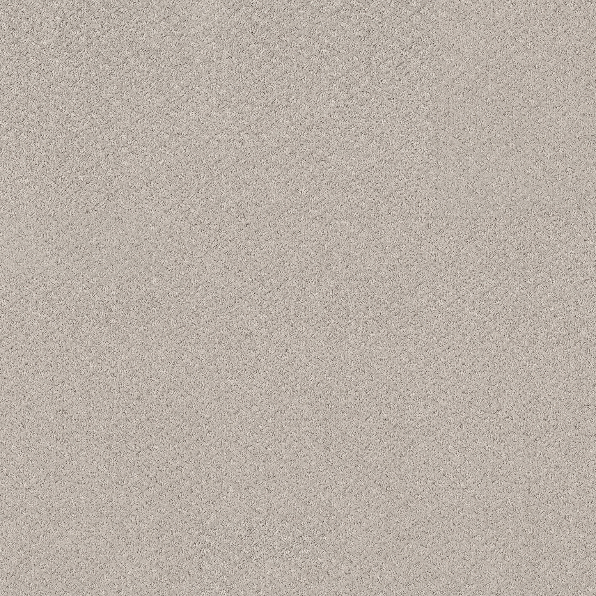 Jubilation-Split Sediment-HGR49_00104