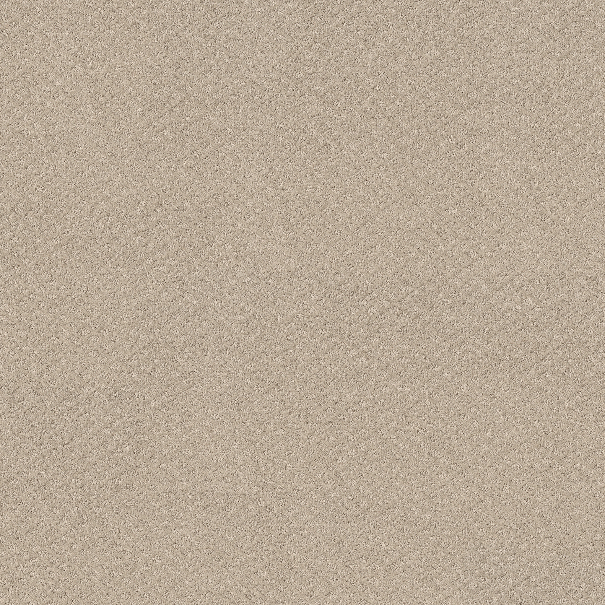 Jubilation-Butter Cream-HGR49_00107