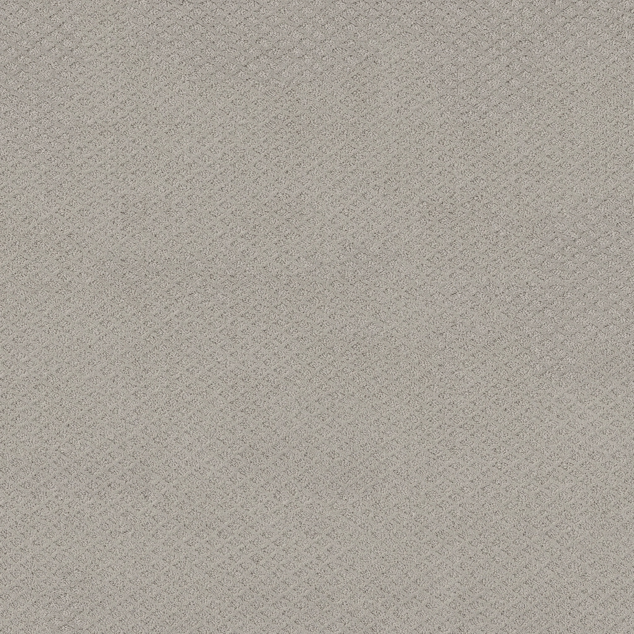 Jubilation-Silver Lining-HGR49_00500