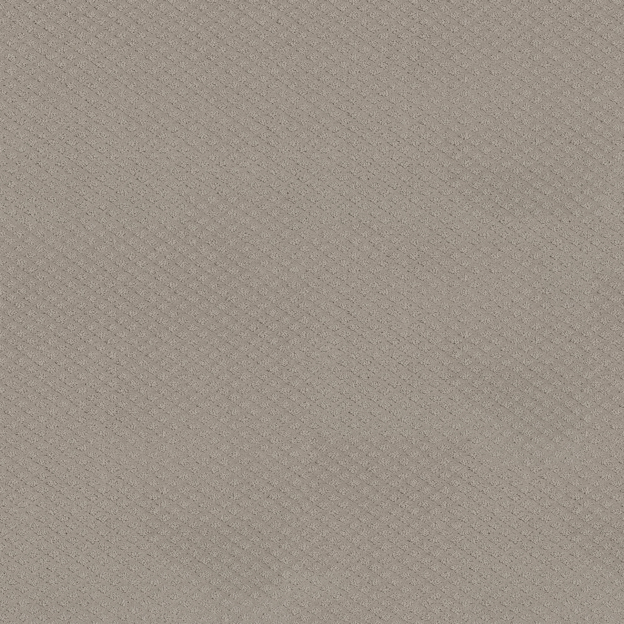 Jubilation-Newstone Haven-HGR49_00502