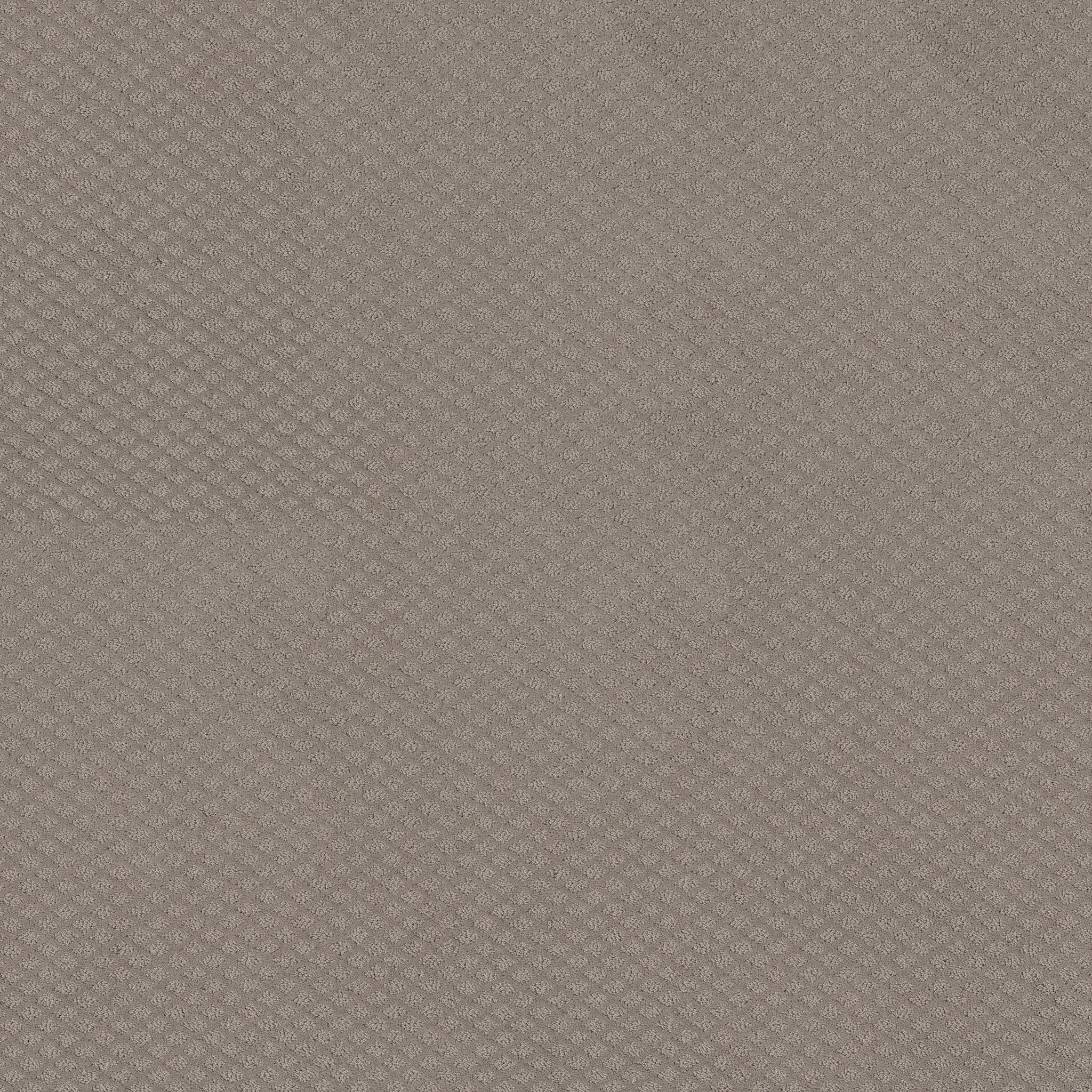 Jubilation-River Run-HGR49_00700