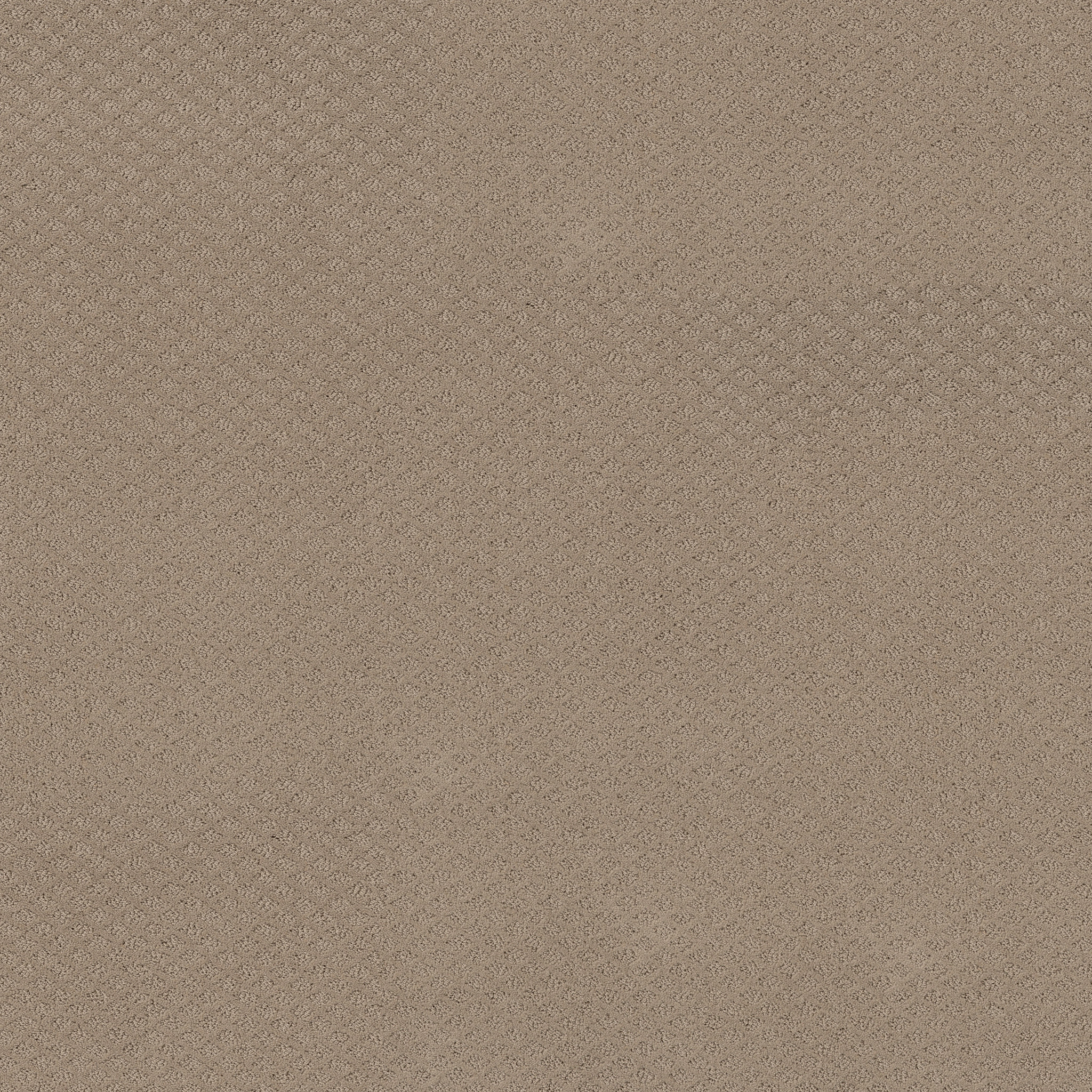 Jubilation-Desert View-HGR49_00701