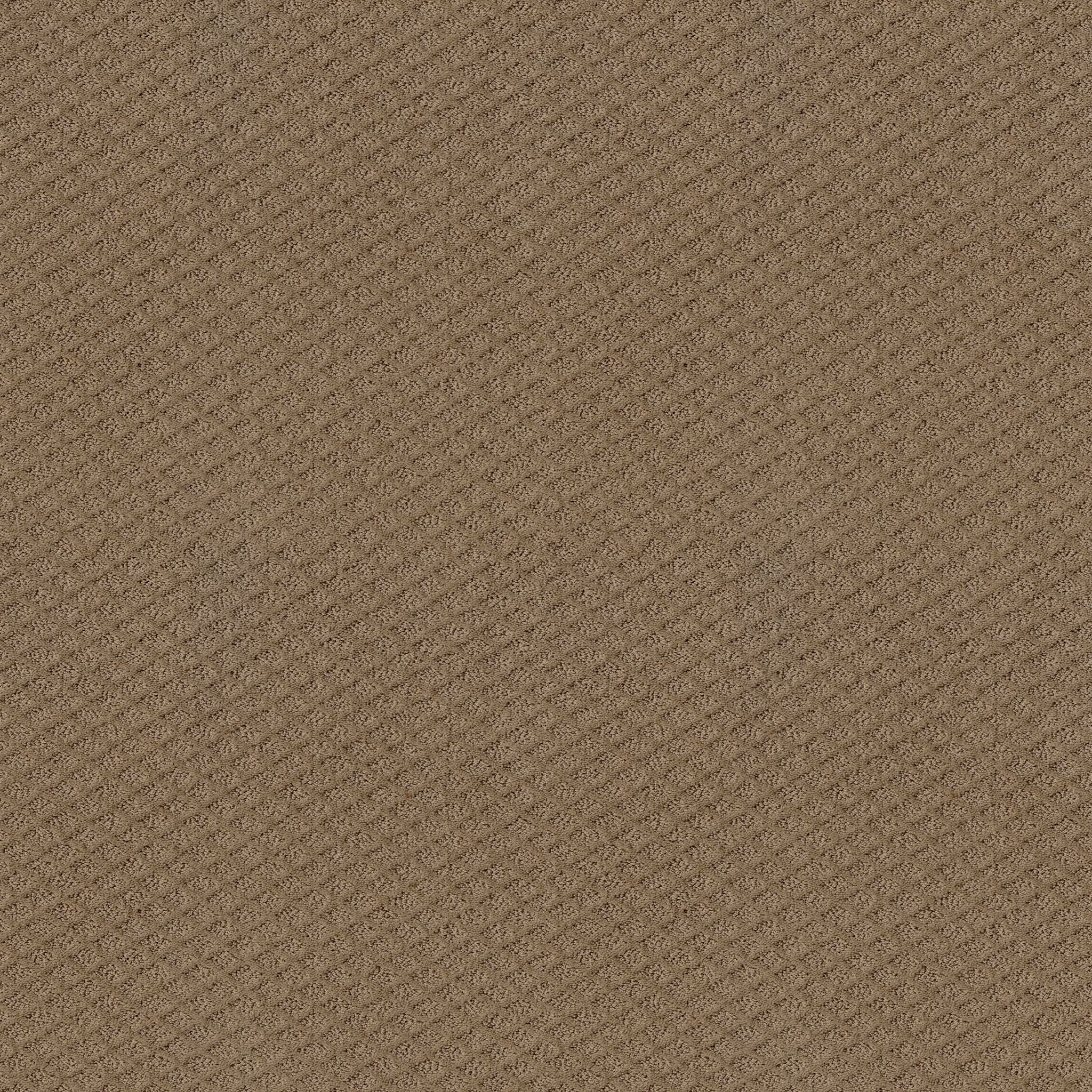 Jubilation - Raw Wood - HGR49_00720