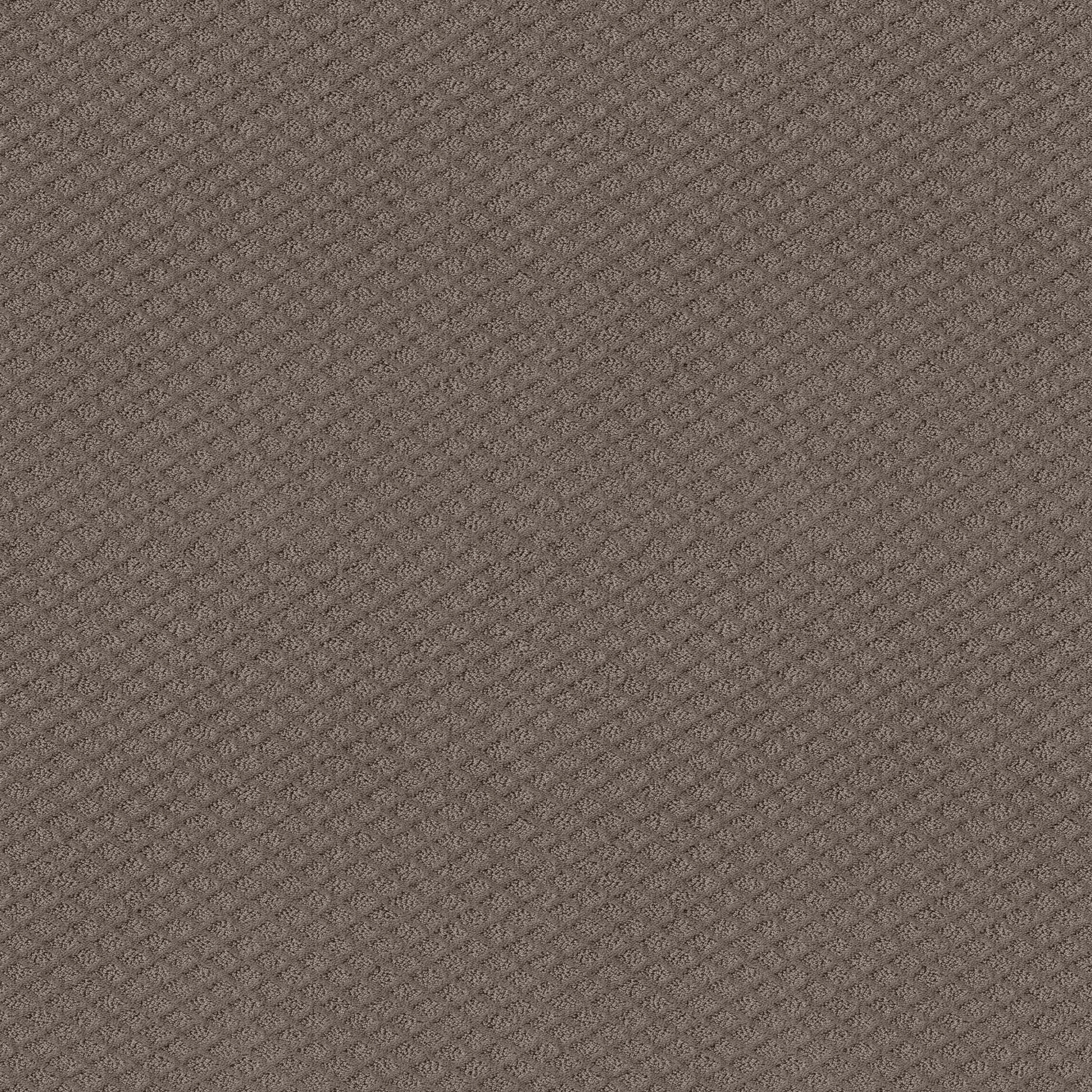 Jubilation-Ridgeview-HGR49_00751