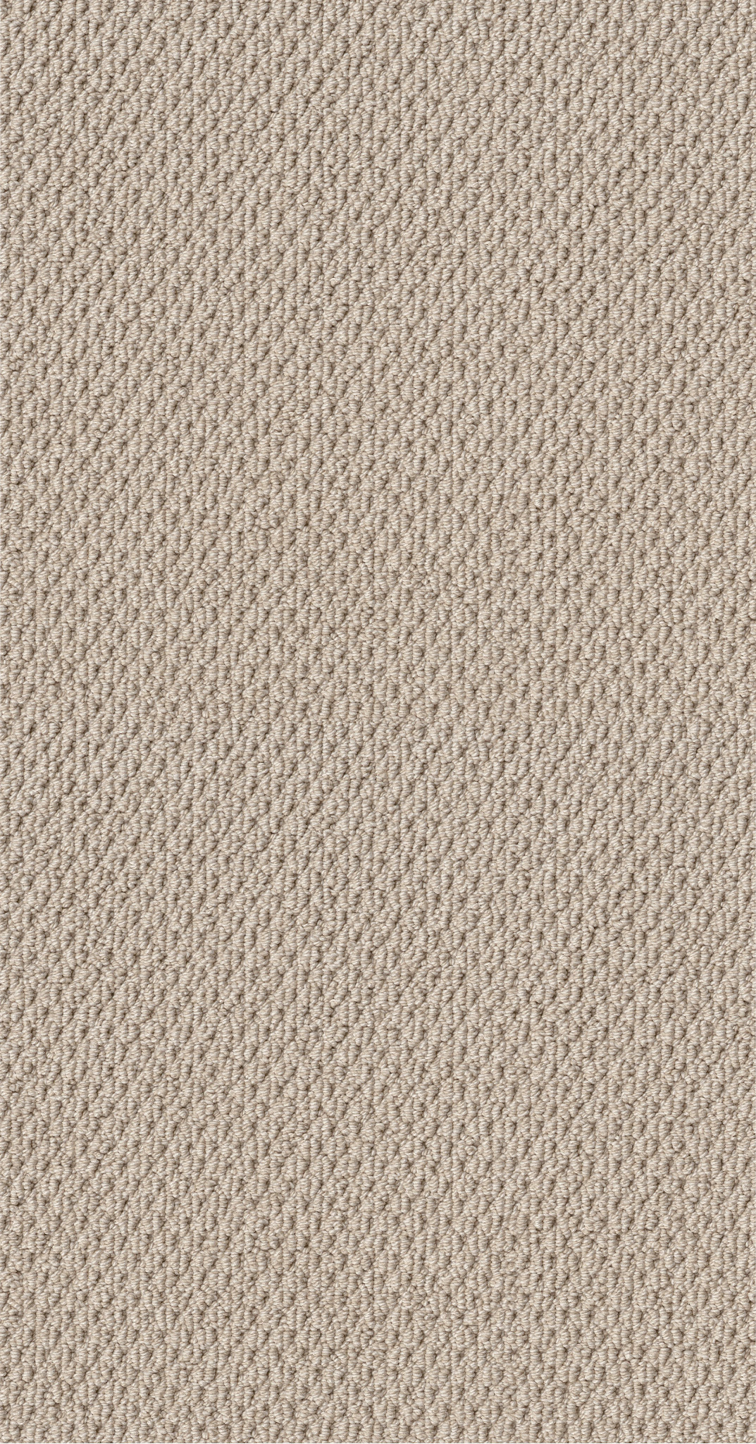 Modern Chic HGR69 00110 | Shaw Builder Flooring