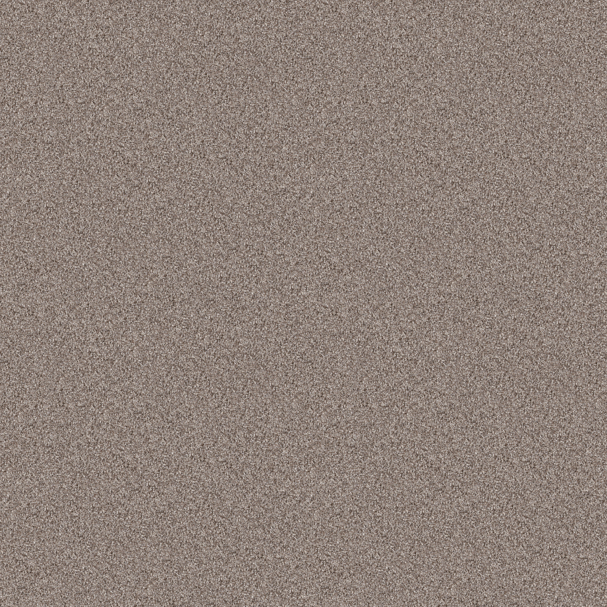 Wind Dancer-Chestnut-HGR70_00108