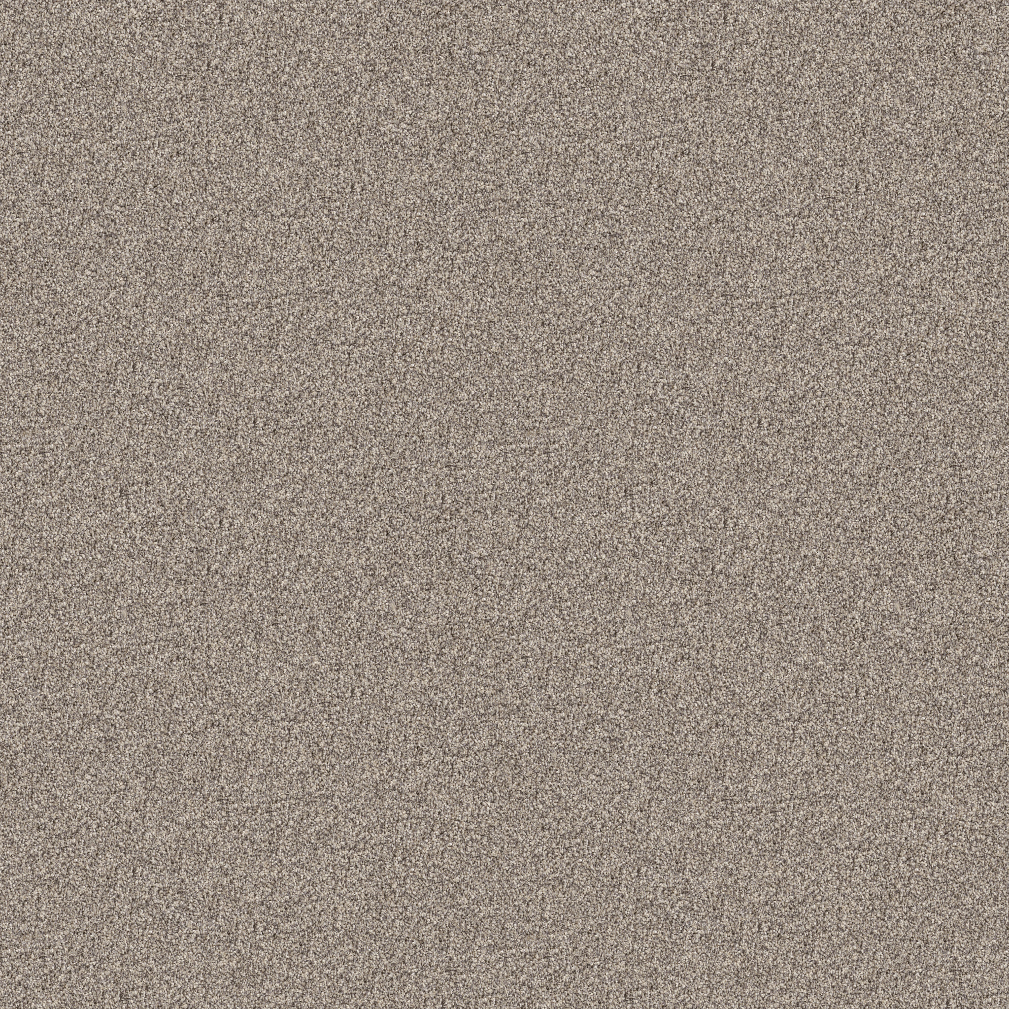 Wind Dancer-Sandstone-HGR70_00110