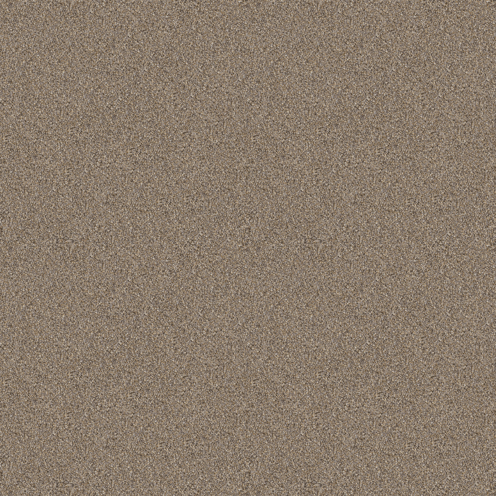 Wind Dancer-Raw Wood-HGR70_00200