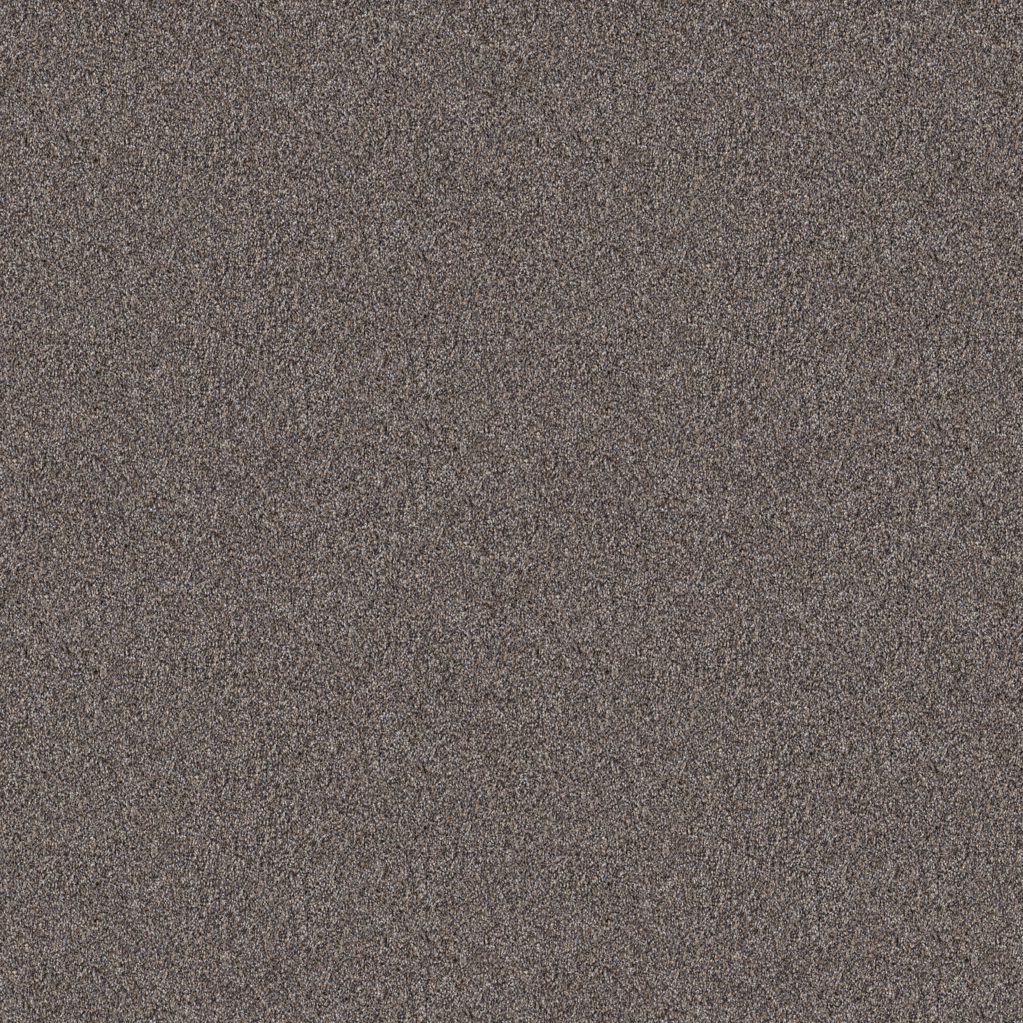 Wind Dancer-Desert View-HGR70_00503