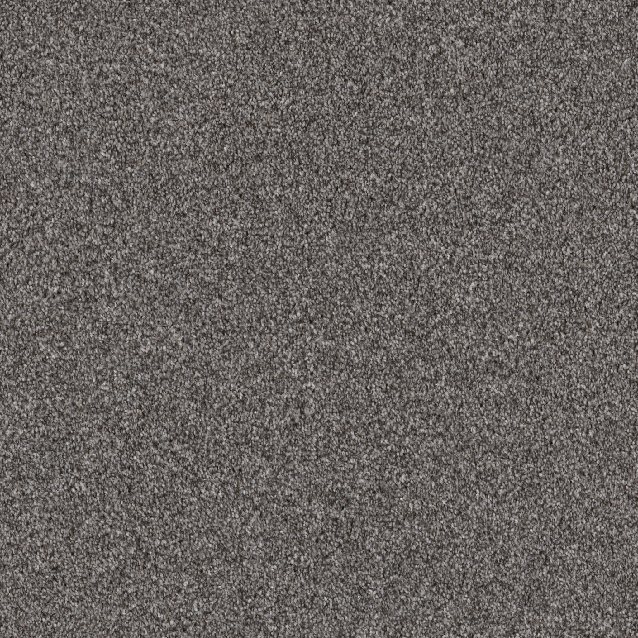 Wind Dancer-Sentimental-HGR70_00510