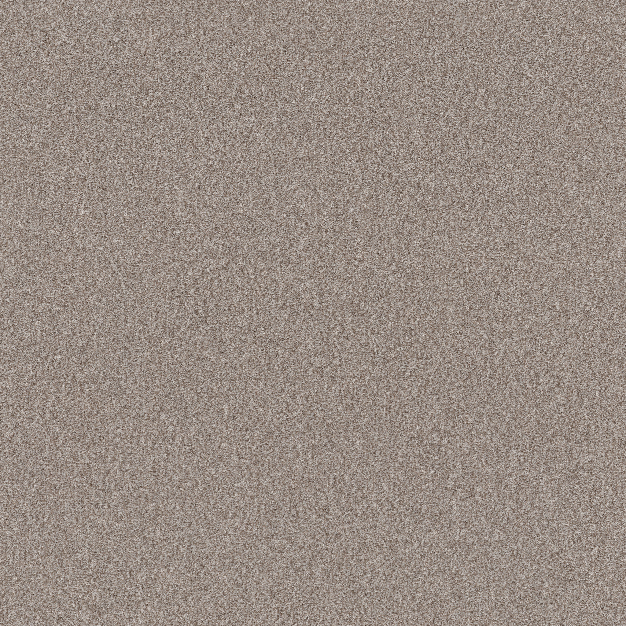 Wind Dancer-Baltic Stone-HGR70_00700