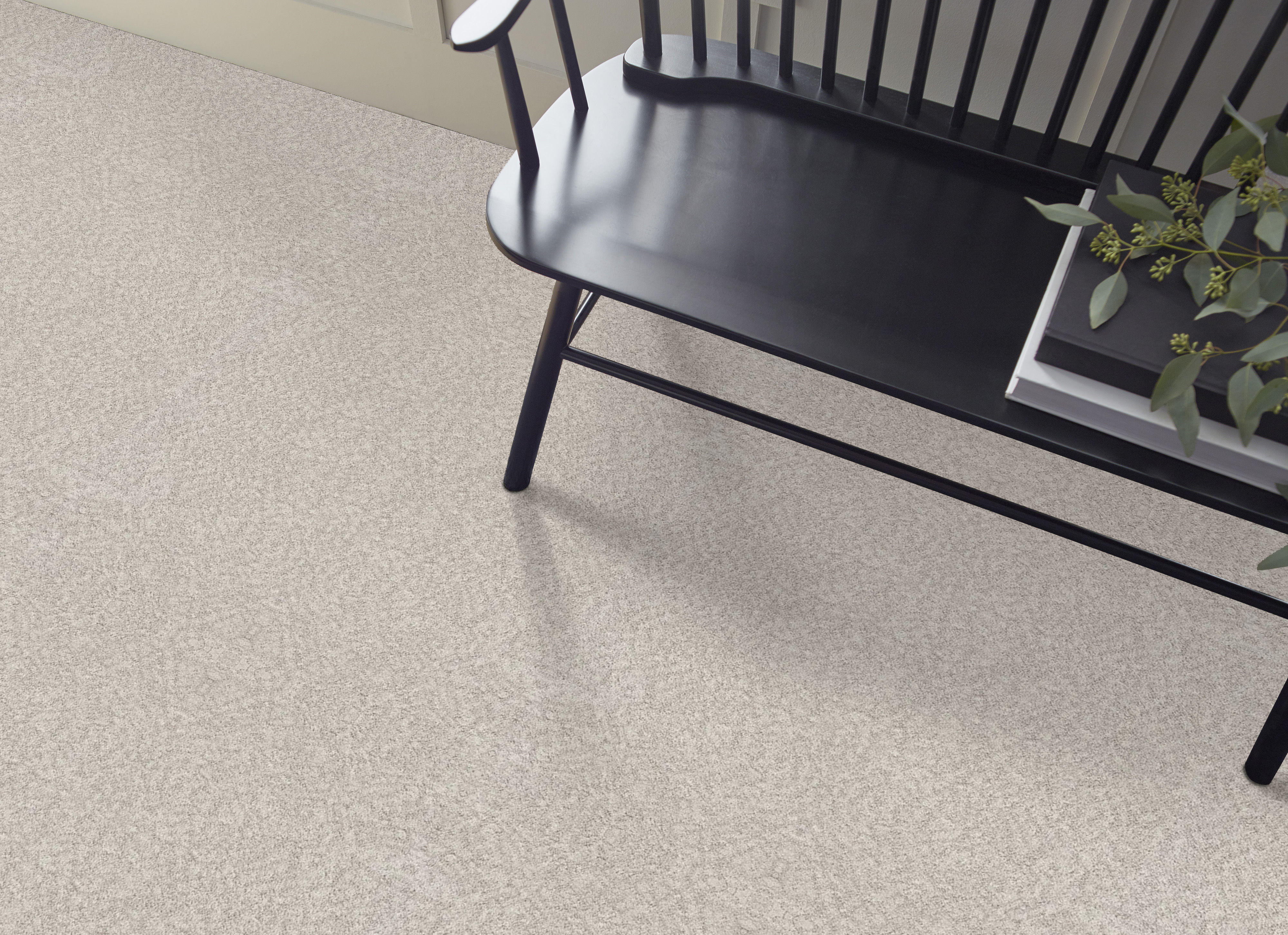 Appealing Charm - Winters Dawn - HGR78_00102