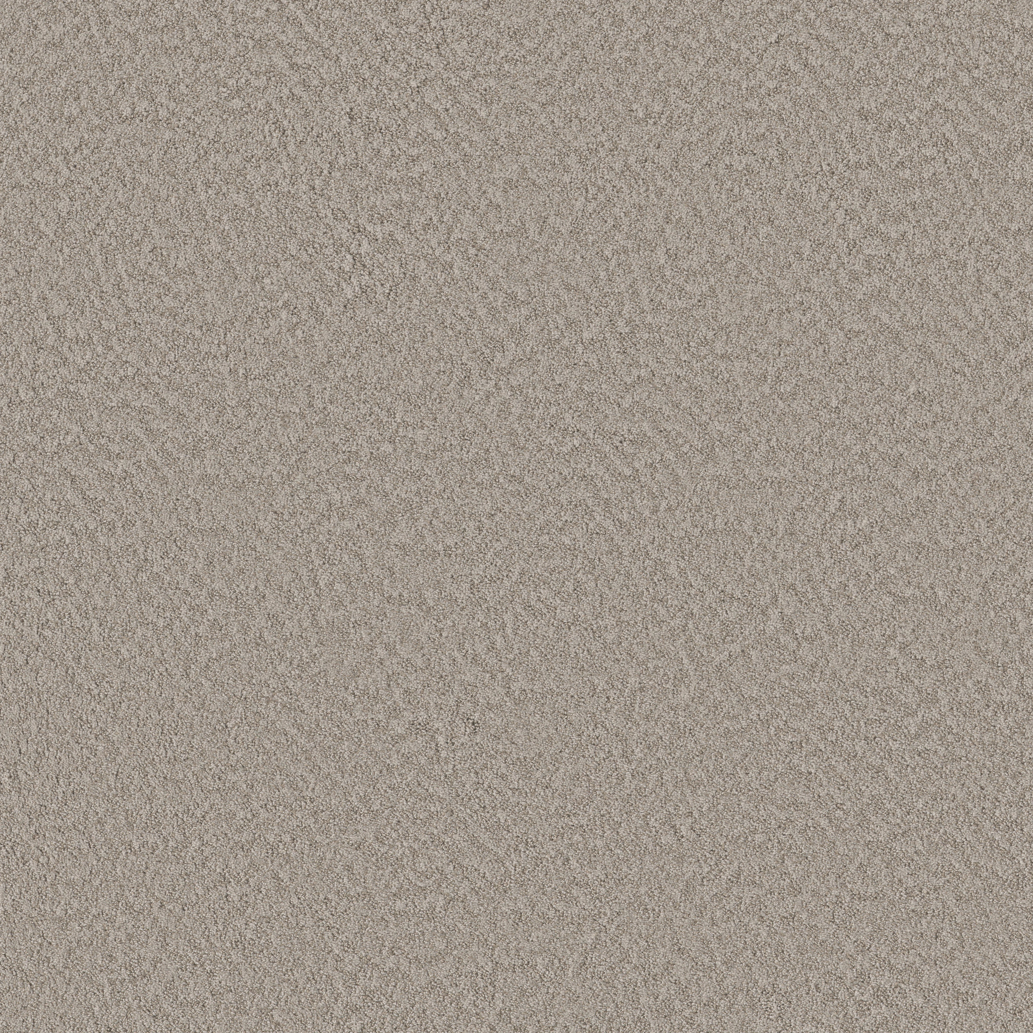 Appealing Charm-Fossil Path-HGR78_00108