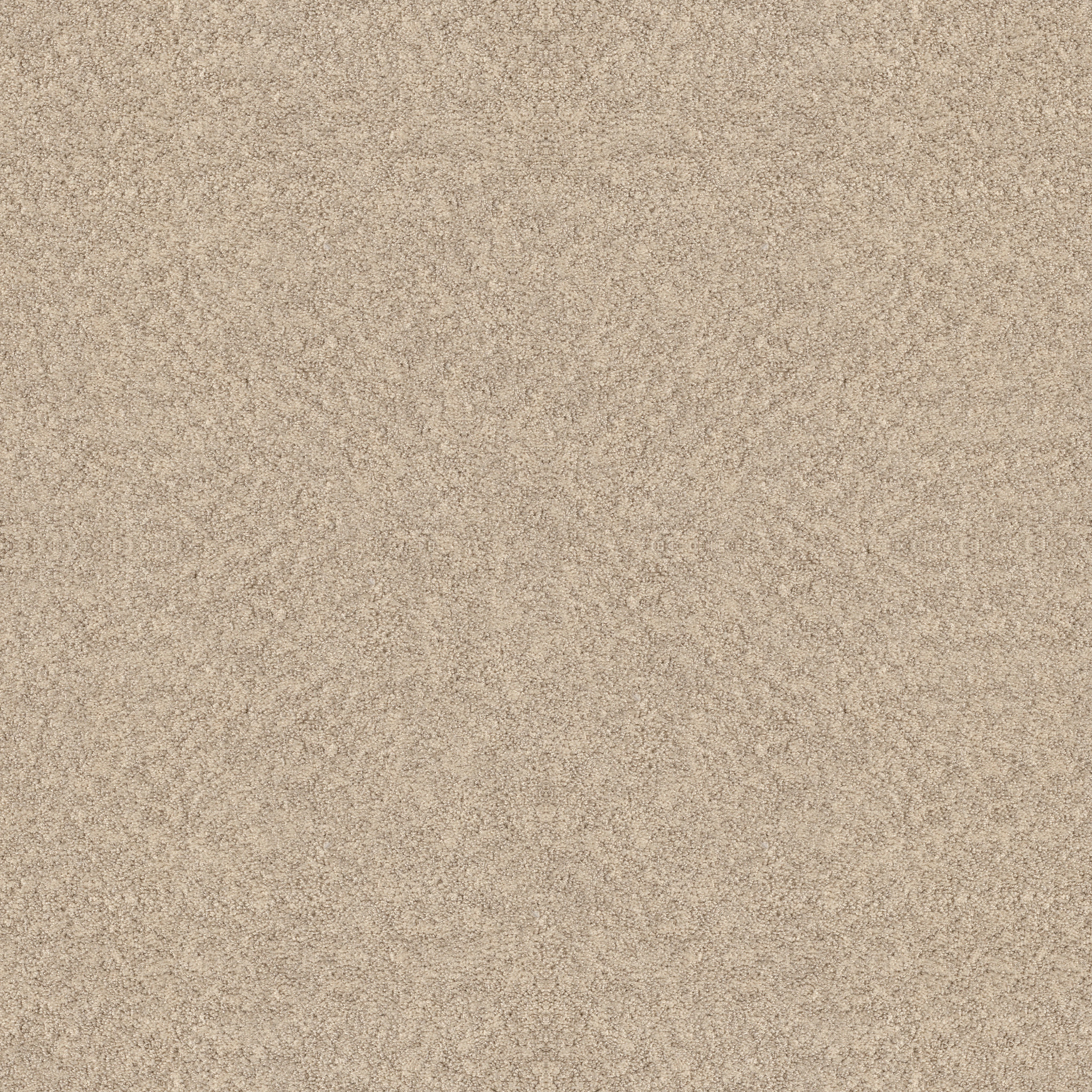 Appealing Charm-Sun Kissed-HGR78_00110