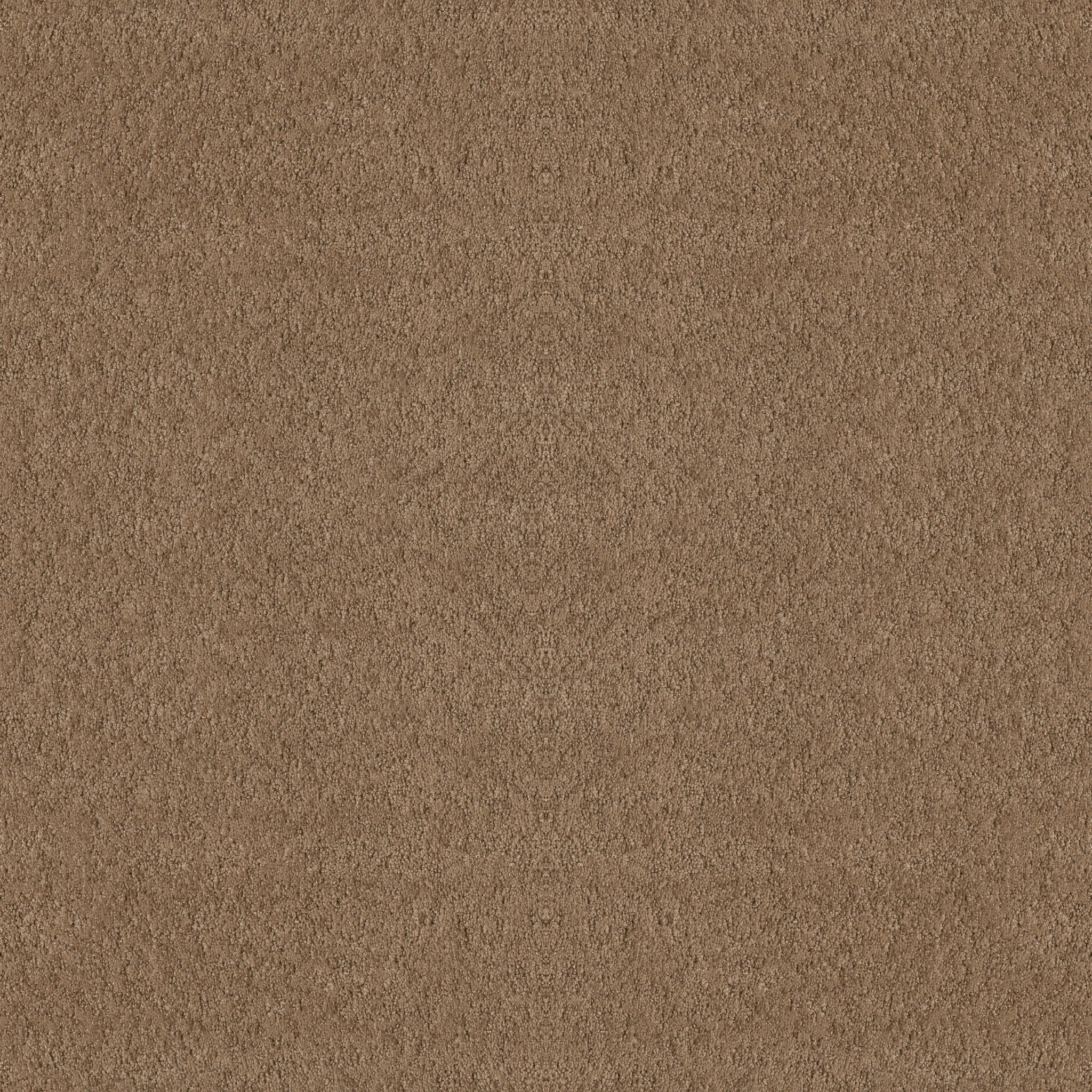 Appealing Charm-Raw Wood-HGR78_00720