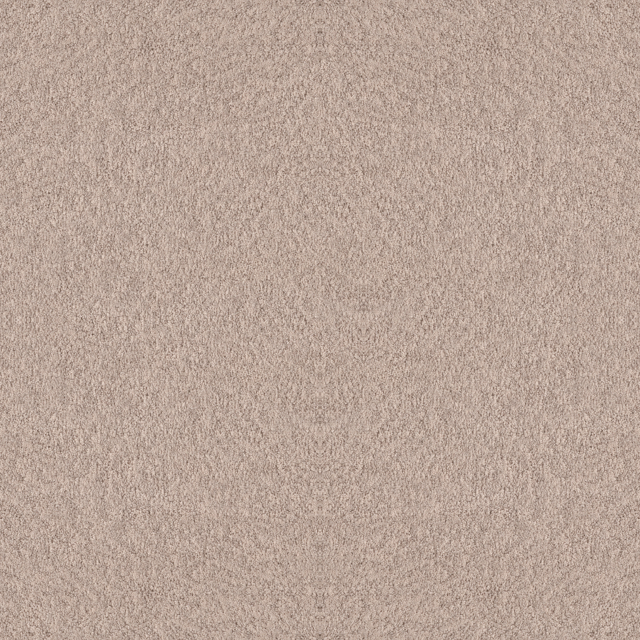 Appealing Charm-Heirloom-HGR78_00803