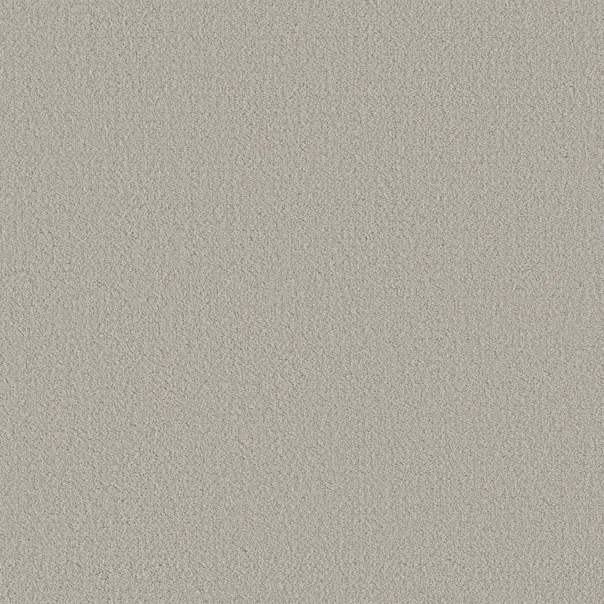 Bright Vision-Split Sediment-HGR79_00104