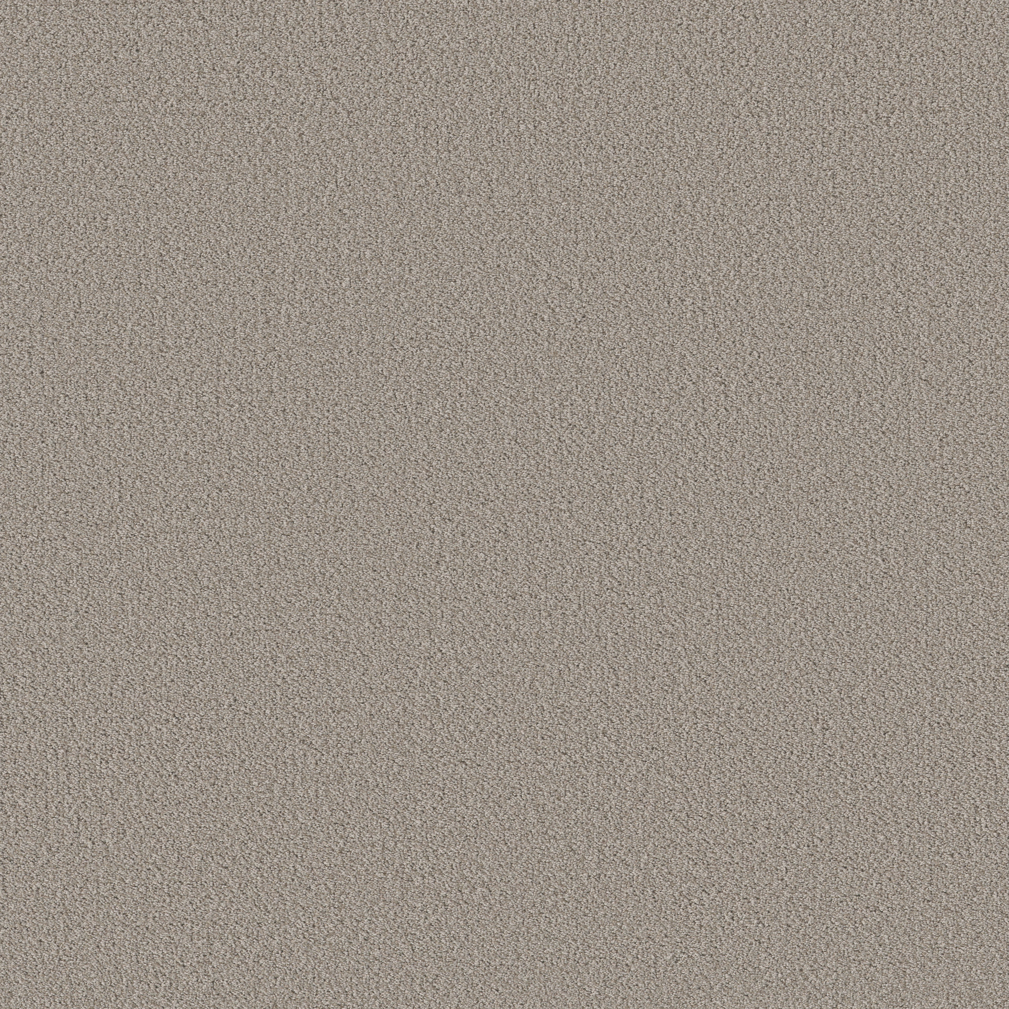 Bright Vision-Fossil Path-HGR79_00108