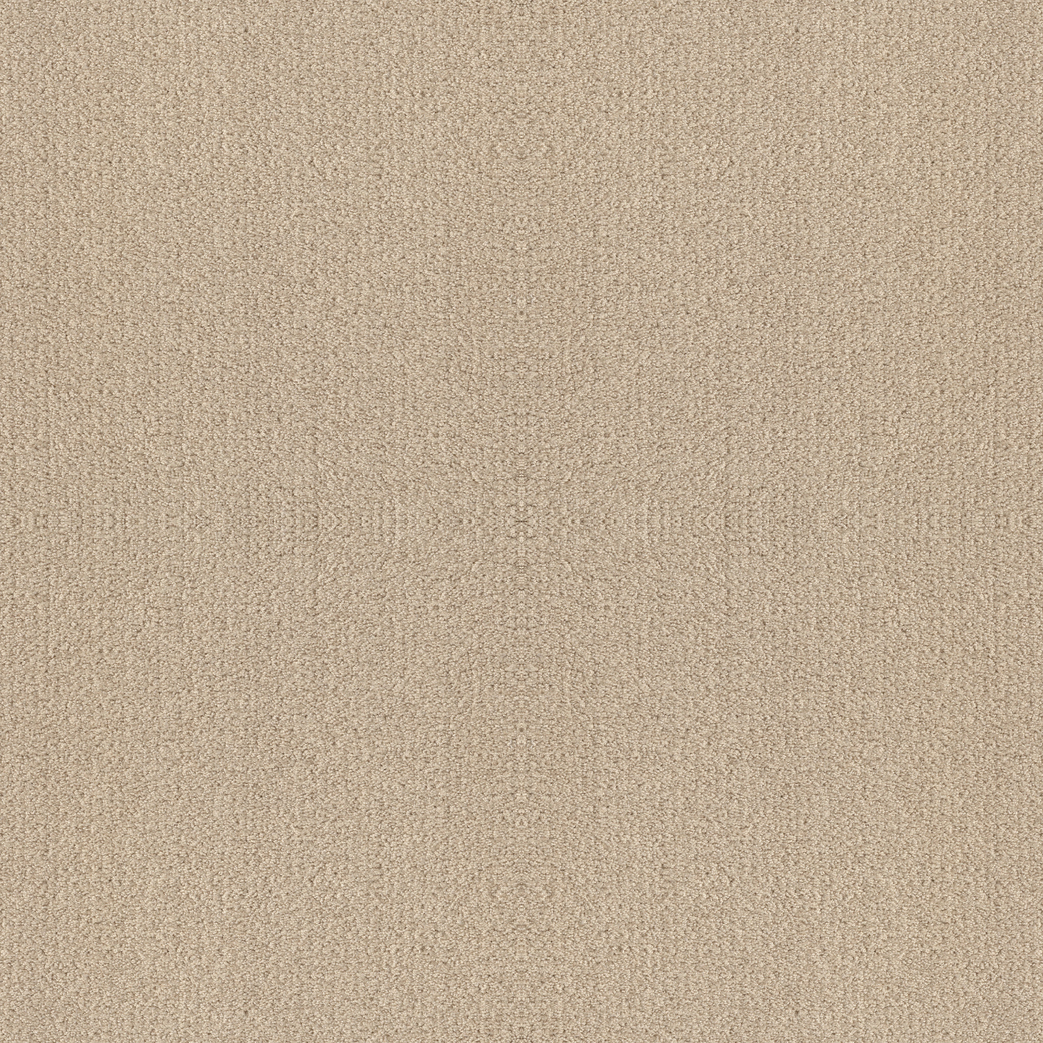 Bright Vision-Sun Kissed-HGR79_00110