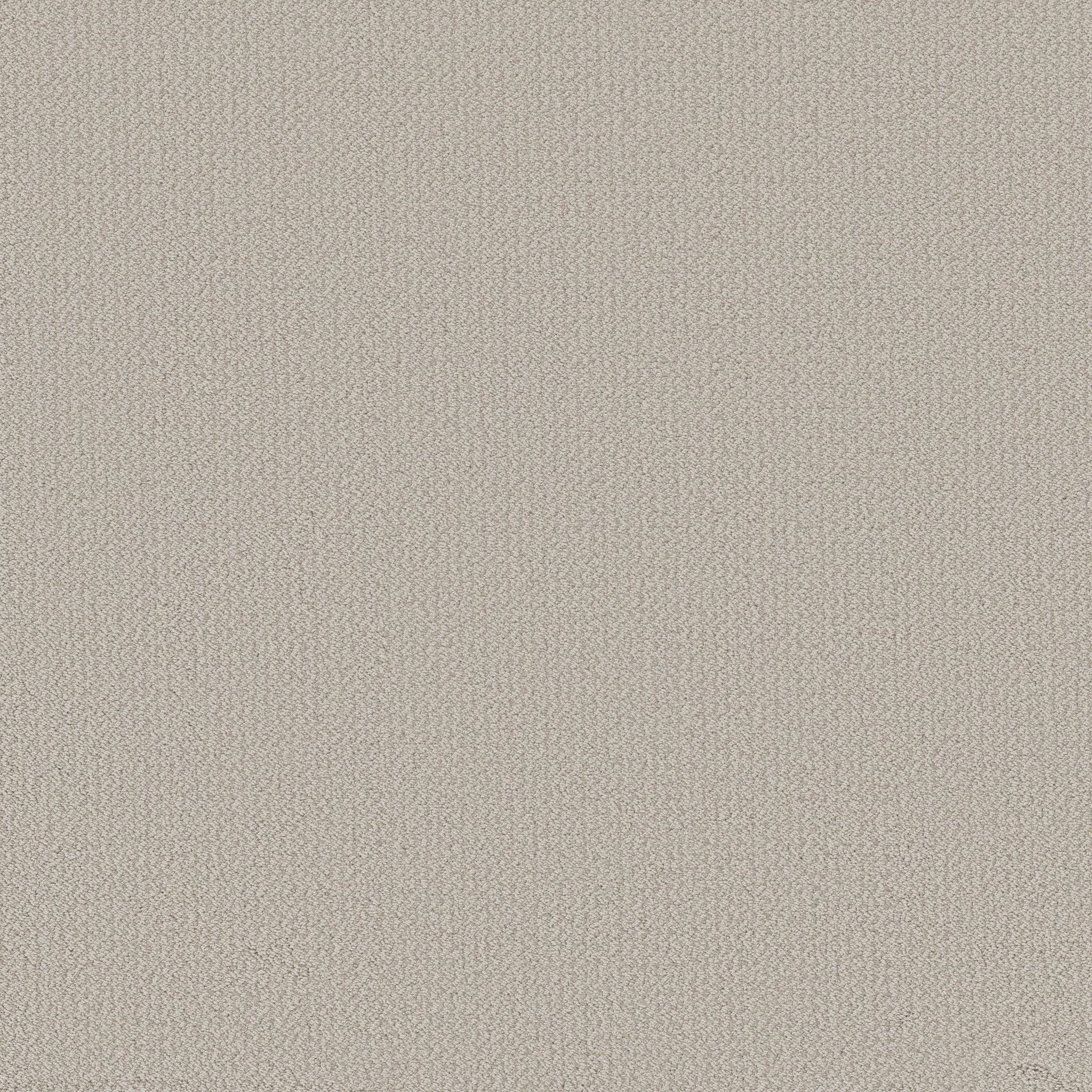 Bright Vision-Baltic Stone-HGR79_00128