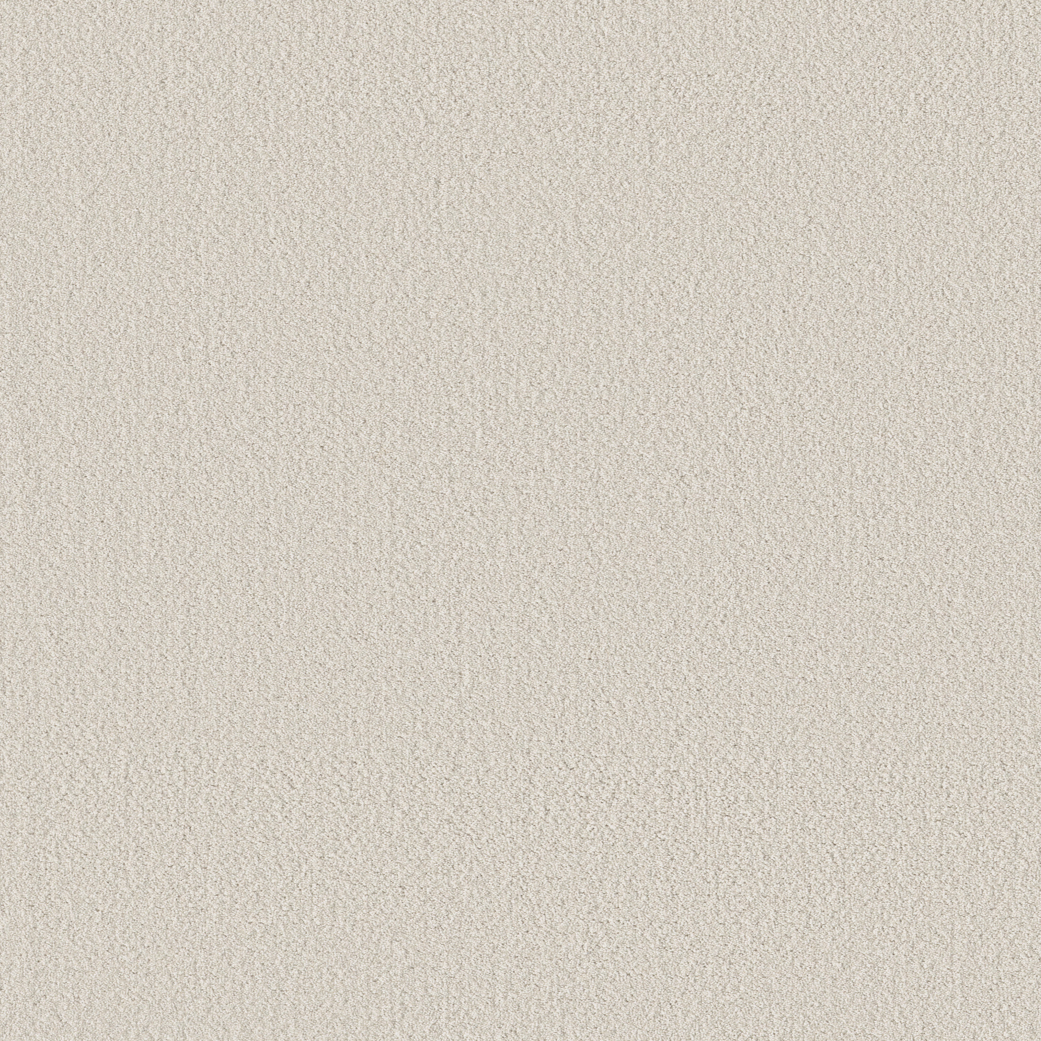 Bright Vision-Champagne Toast-HGR79_00153