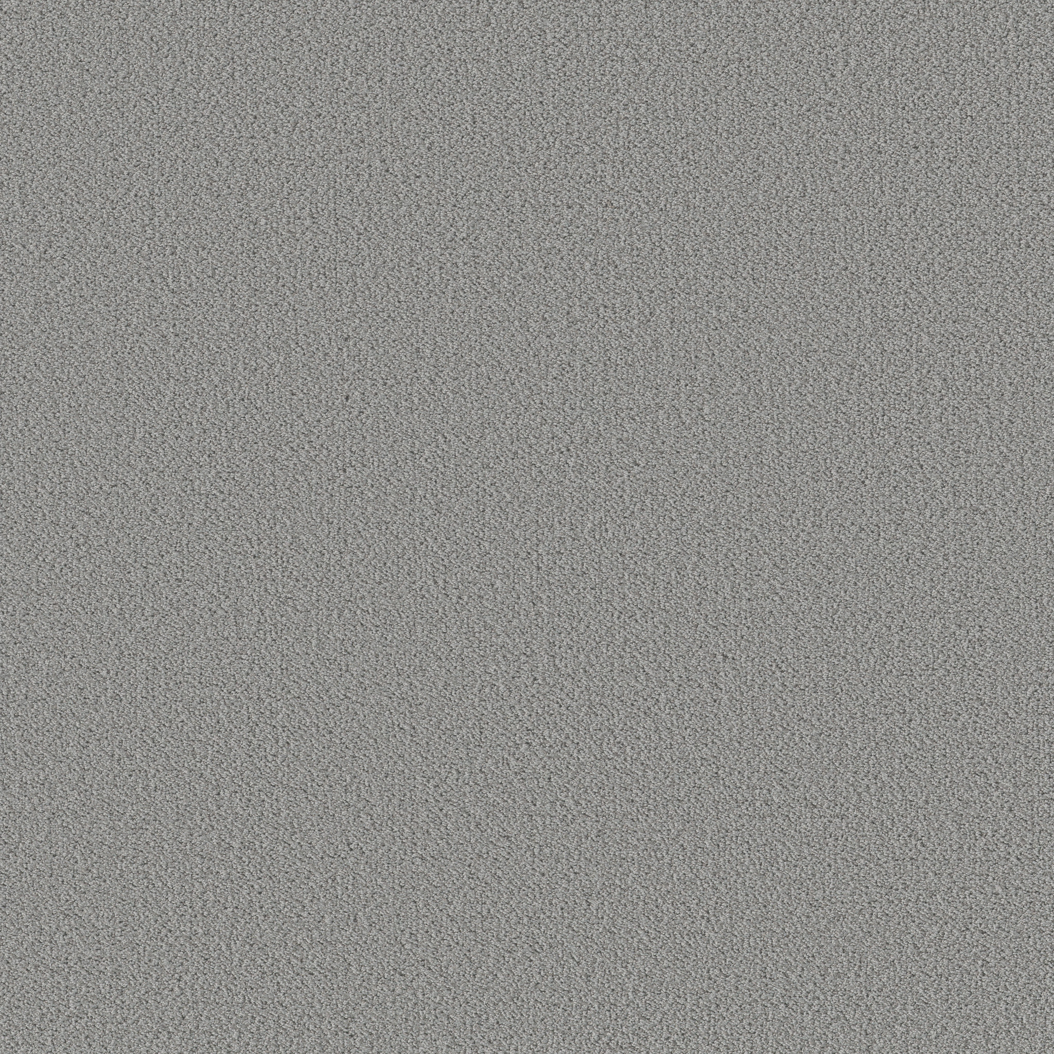 Bright Vision-Sentimental-HGR79_00538