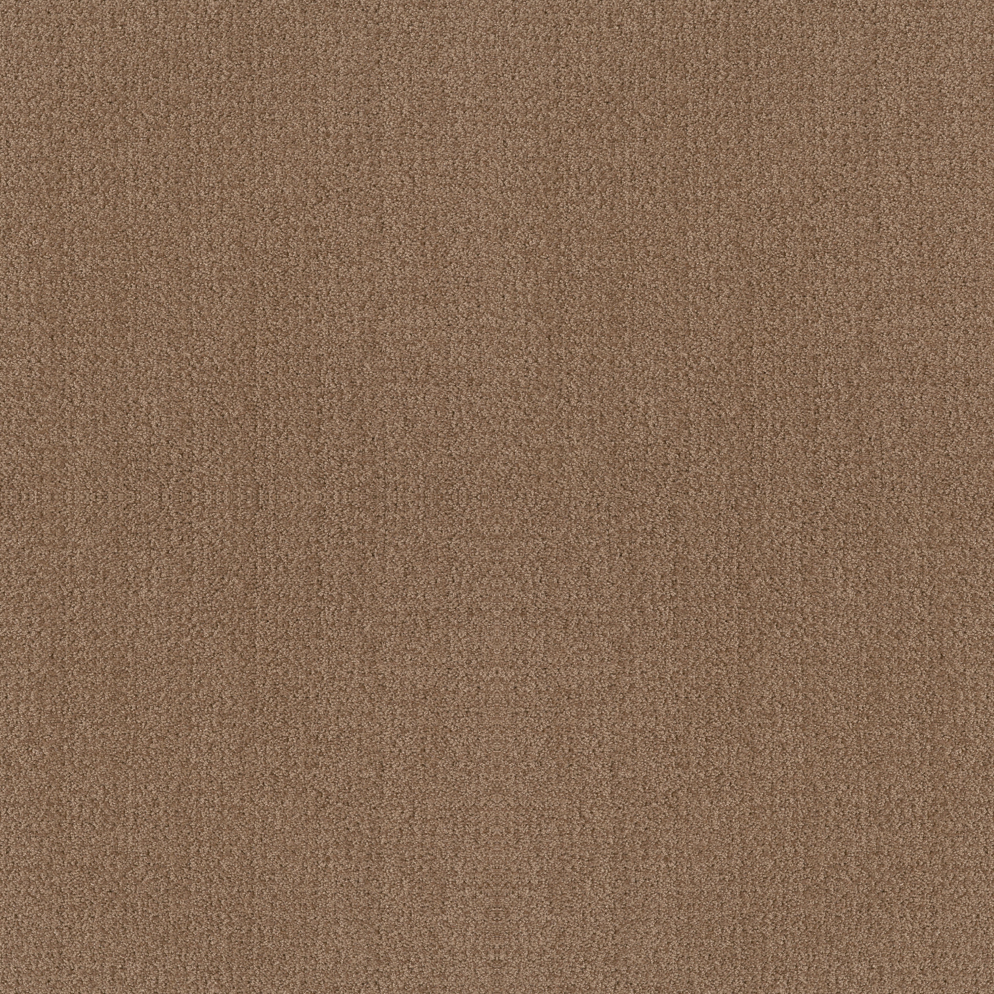 Bright Vision-Raw Wood-HGR79_00720