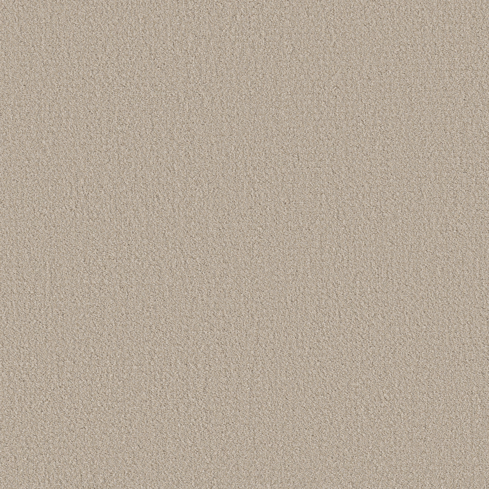 Bright Vision-Sandstone-HGR79_00743