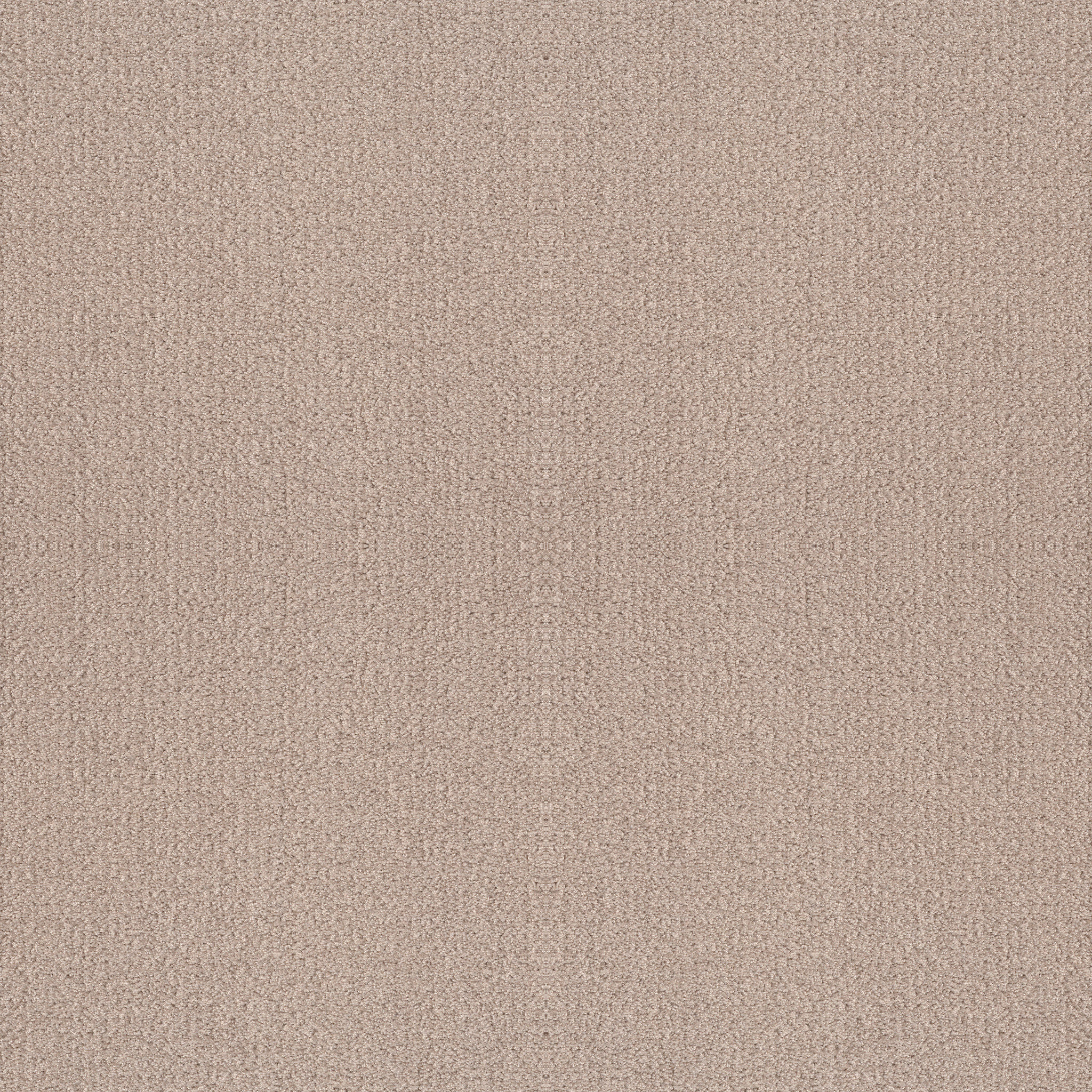 Bright Vision-Heirloom-HGR79_00803