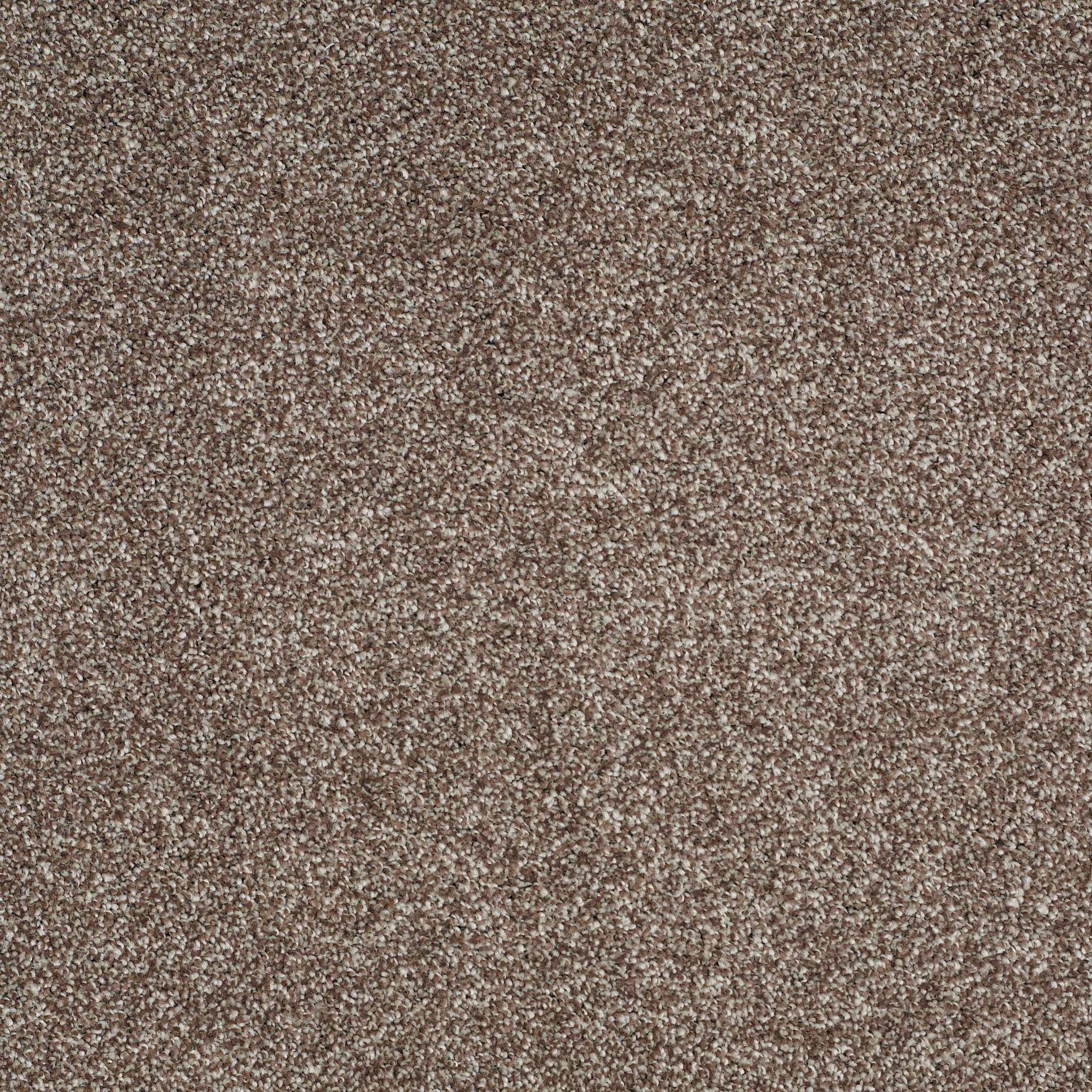 Bridgeport I - Cobble Brown - HGR80_00798