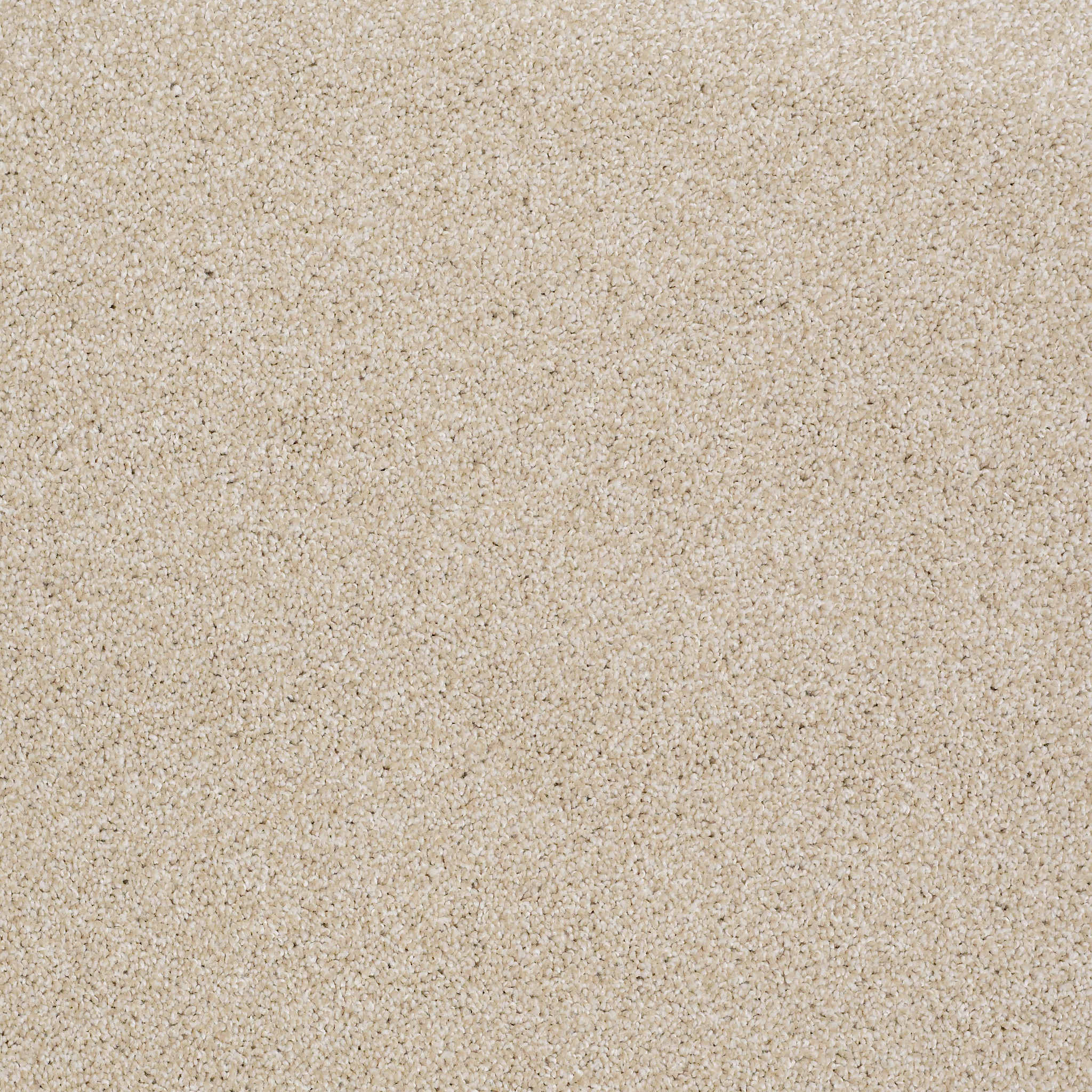 Bridgeport II-Boutique-HGR81_00191