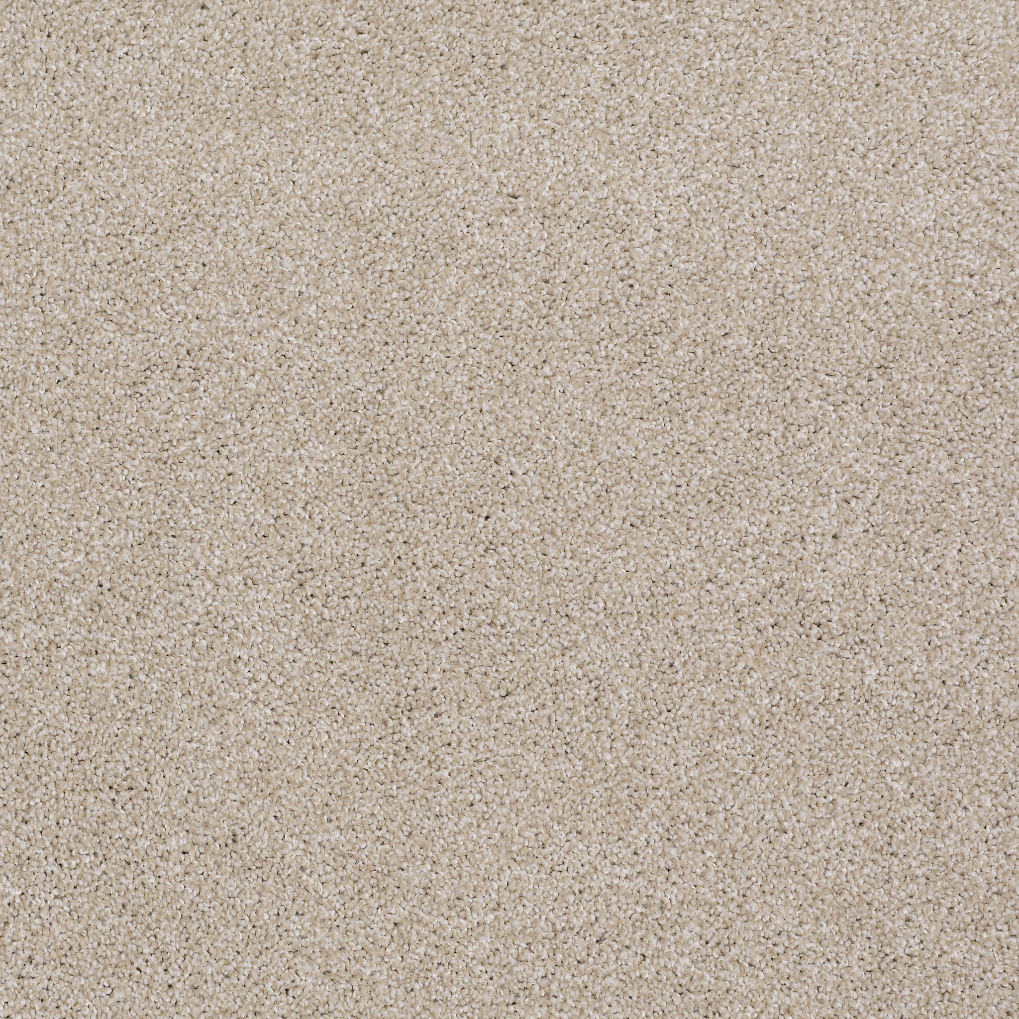 Bridgeport II - Balanced Beige - HGR81_00193