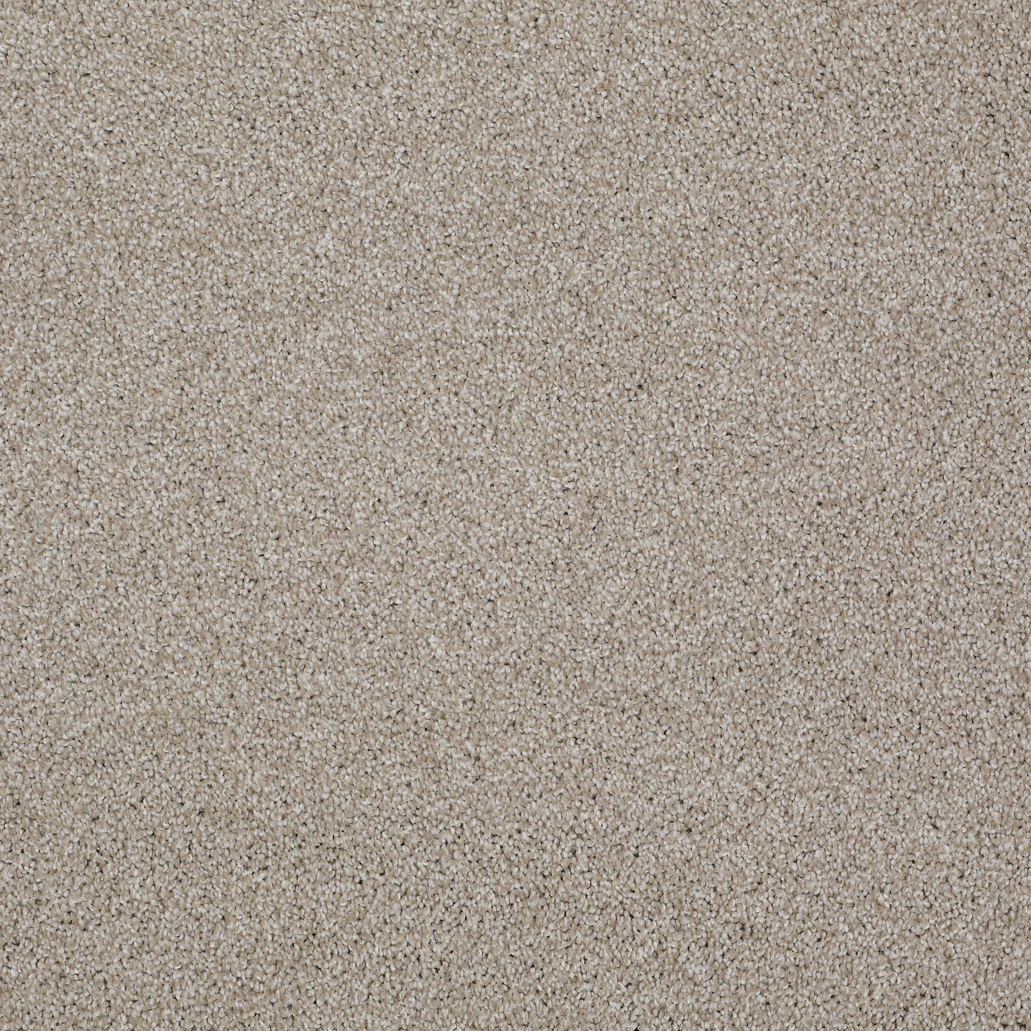 Bridgeport II-Studio Taupe-HGR81_00194