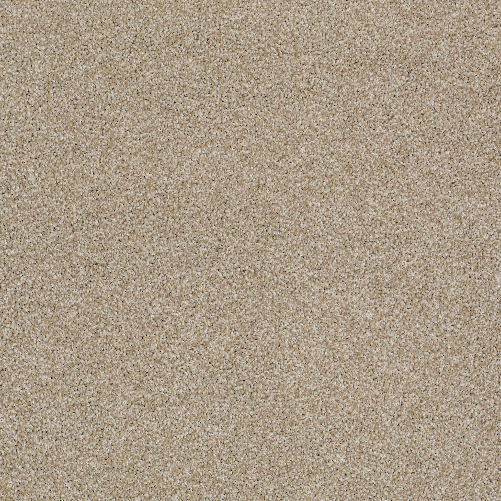 Bridgeport II-Biscotti-HGR81_00791