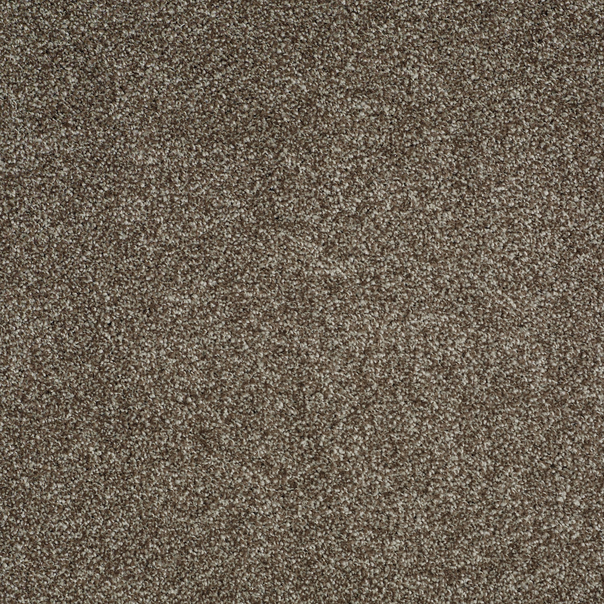 Bridgeport II-Cobble Brown-HGR81_00798