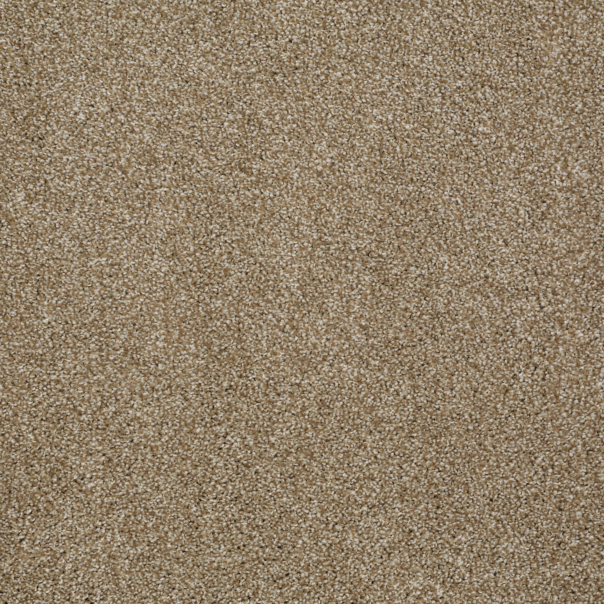 Bridgeport II-Warmth-HGR81_00799