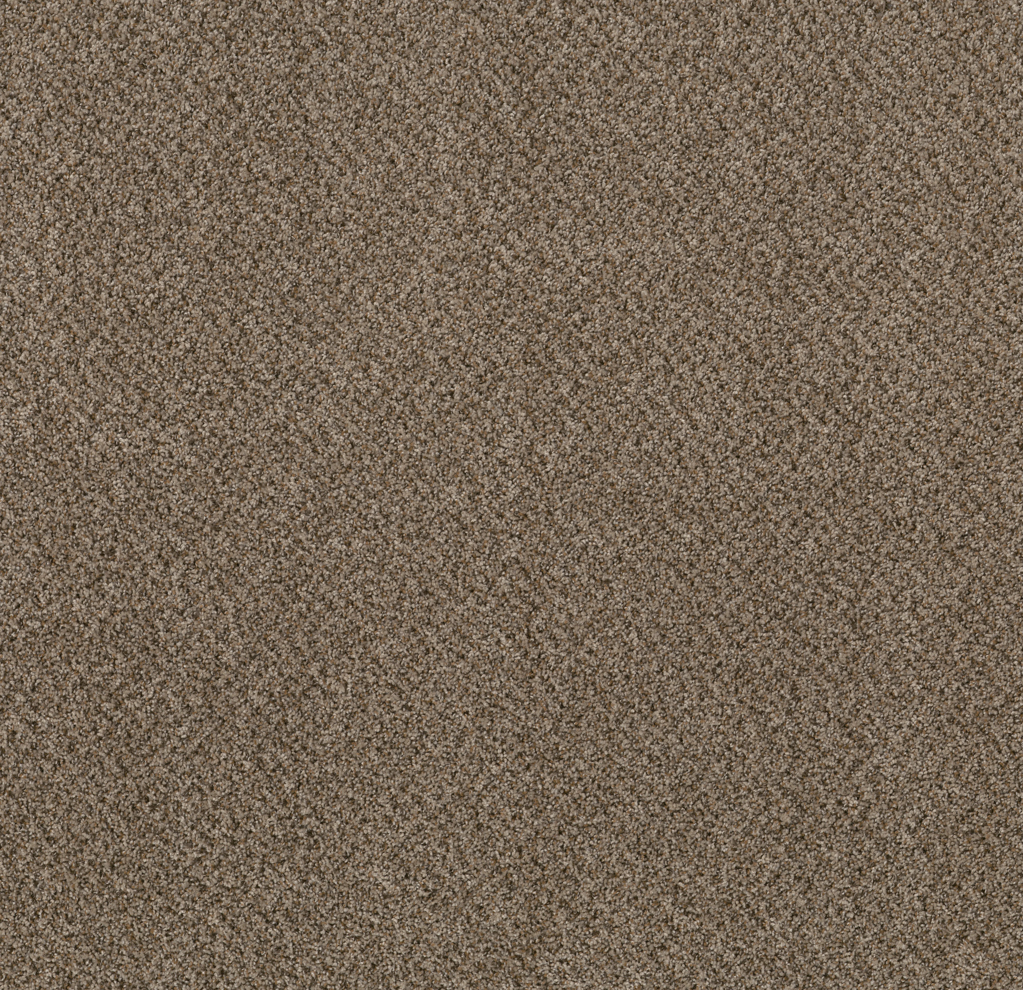 Raw Wood(B)