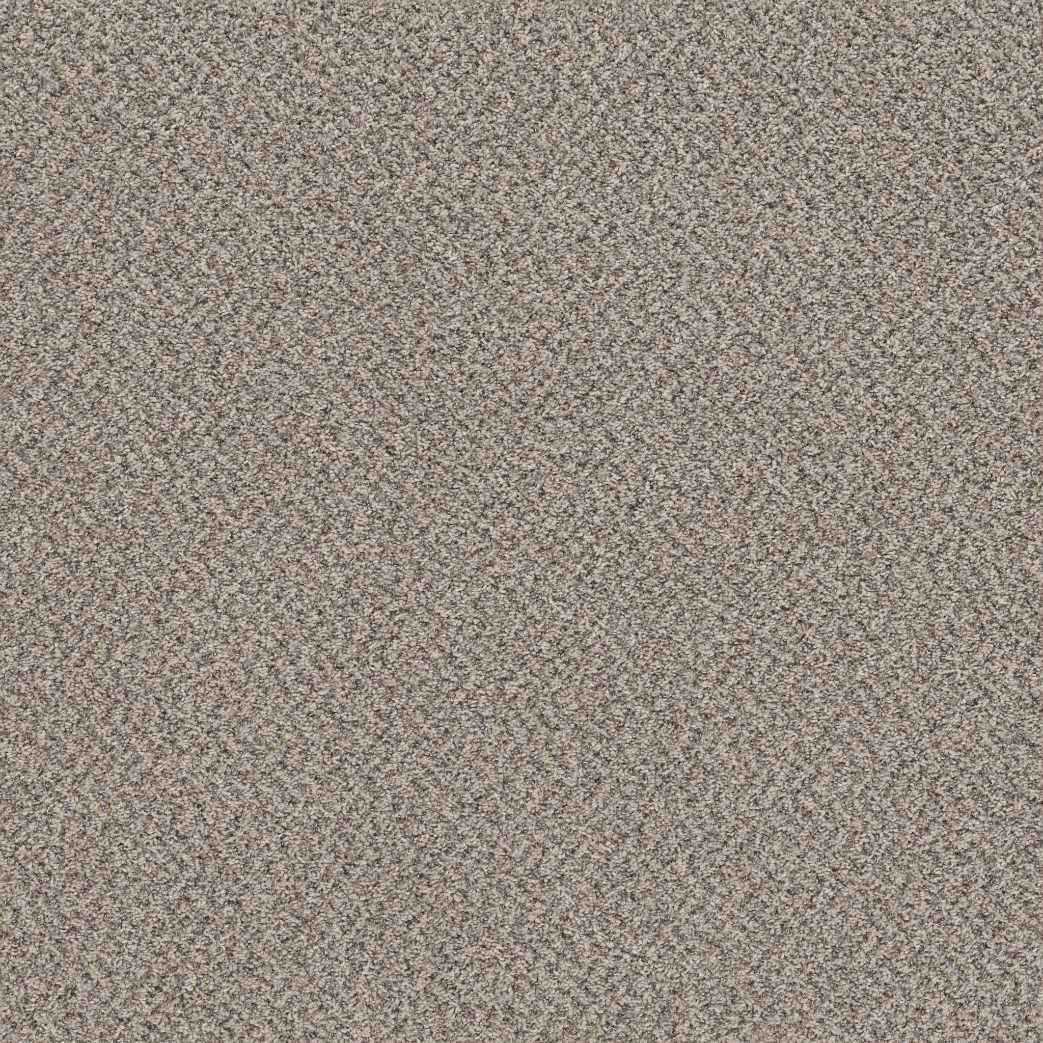 Essential Art (A) - Dove Feather(A) - HGR85_00120