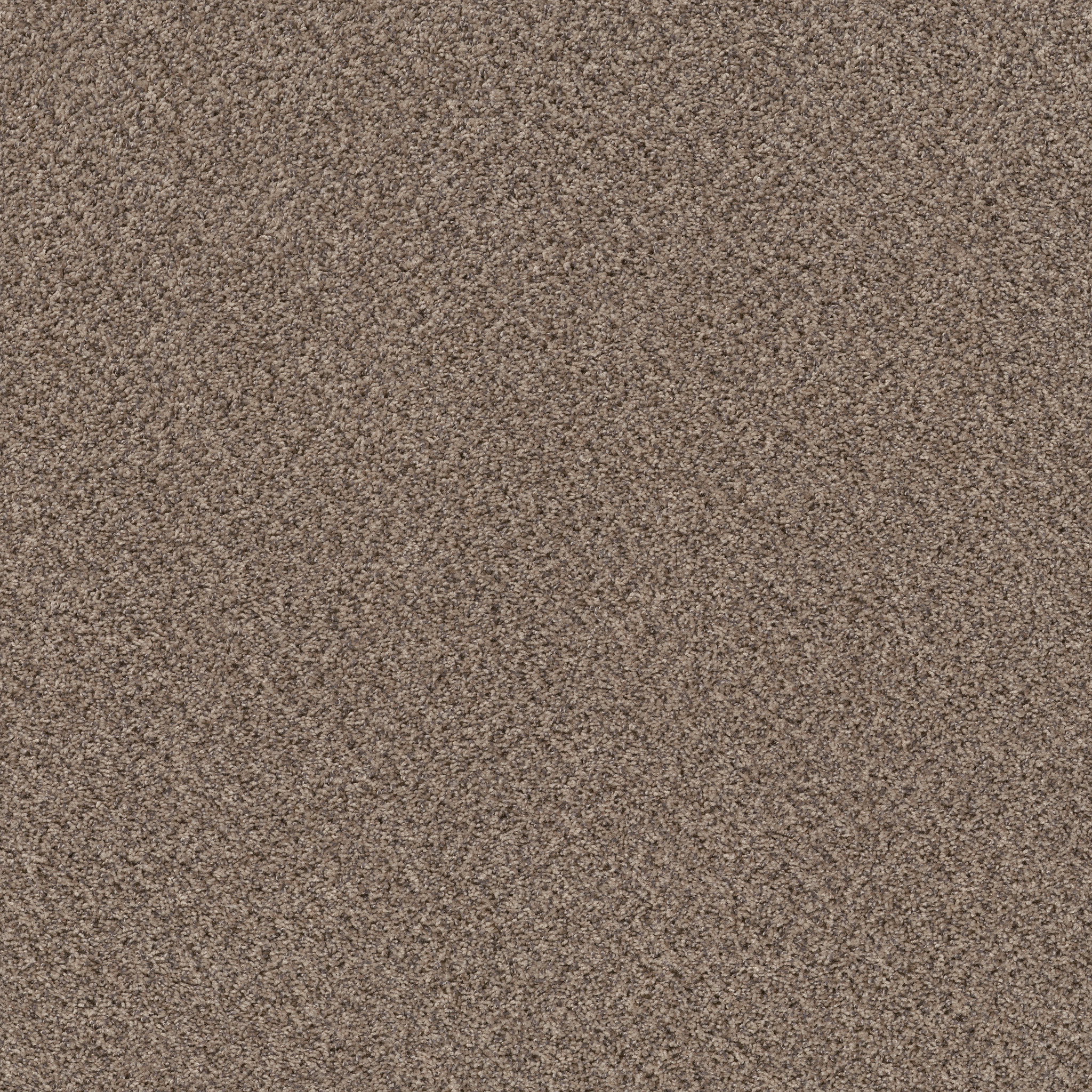 Essential Art (A)-Primitive(A)-HGR85_00121