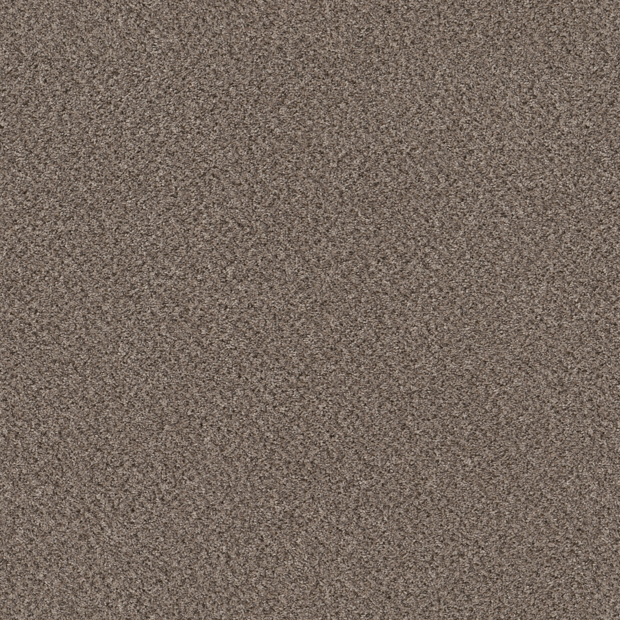 Essential Art (A)-Burro Brown(A)-HGR85_00720