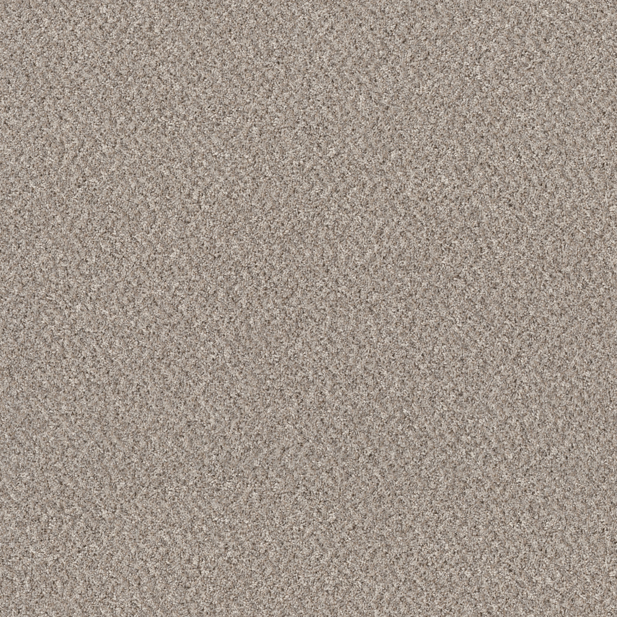 Essential Art (T) - Sandstone(T) - HGR86_00100
