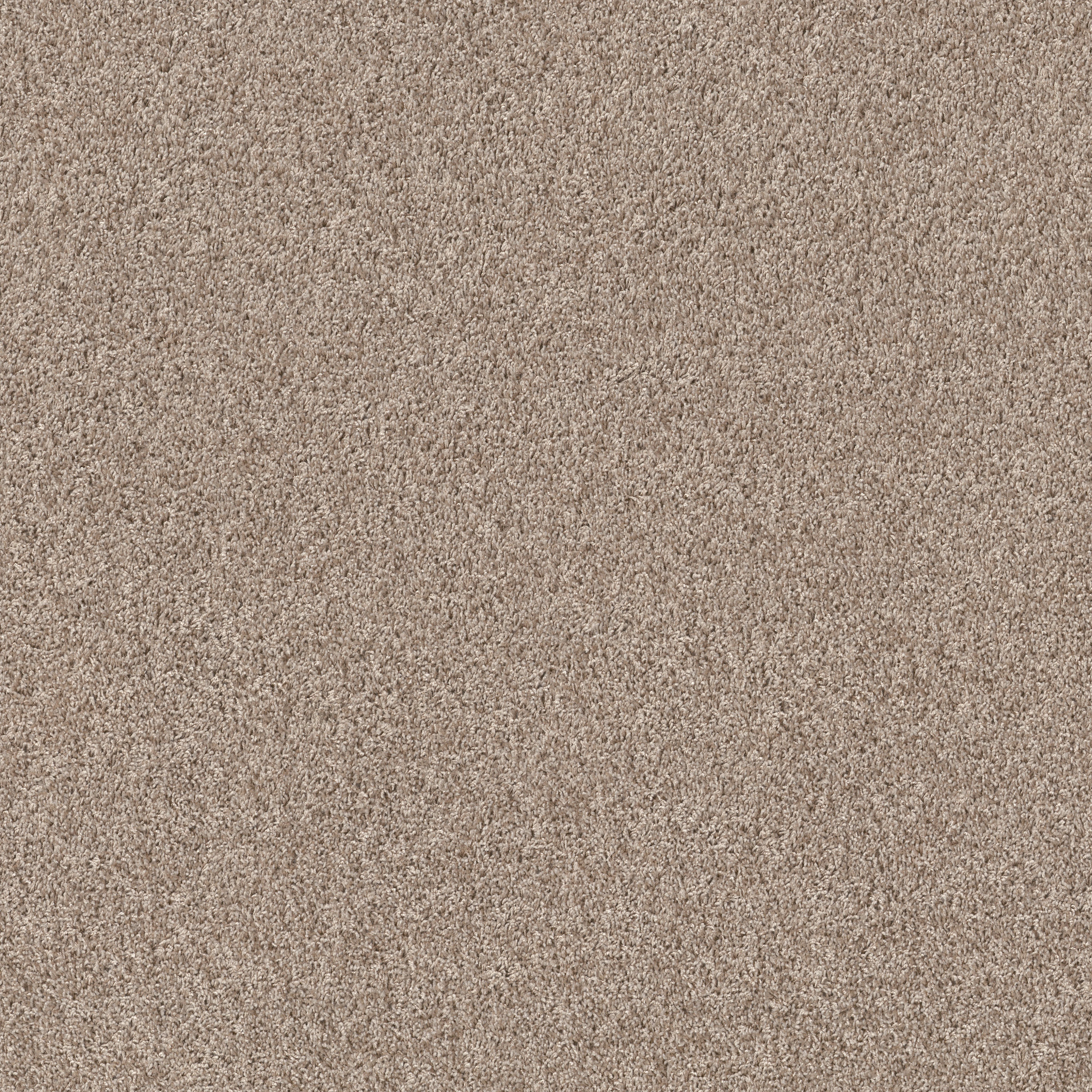 Desert Springs - Sandstone - HGR88_00102