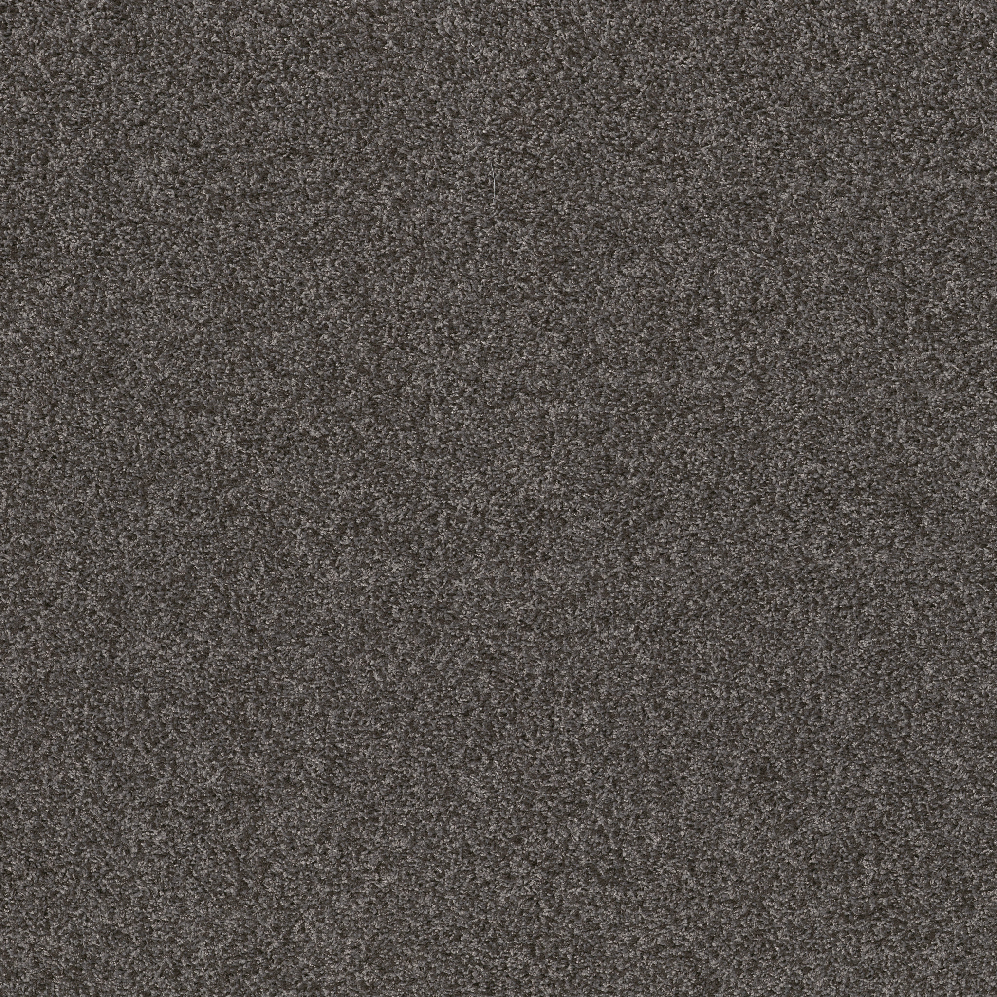 Desert Springs - Galvanized Grey - HGR88_00504