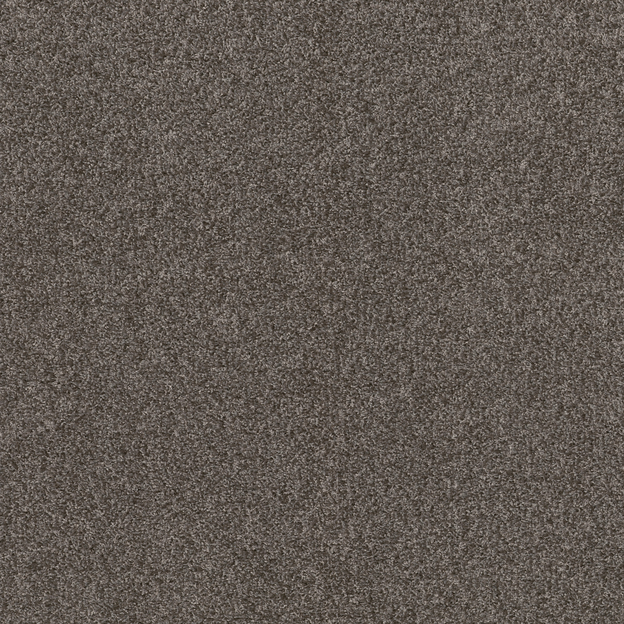 Desert Springs - Smoke Embers - HGR88_00704