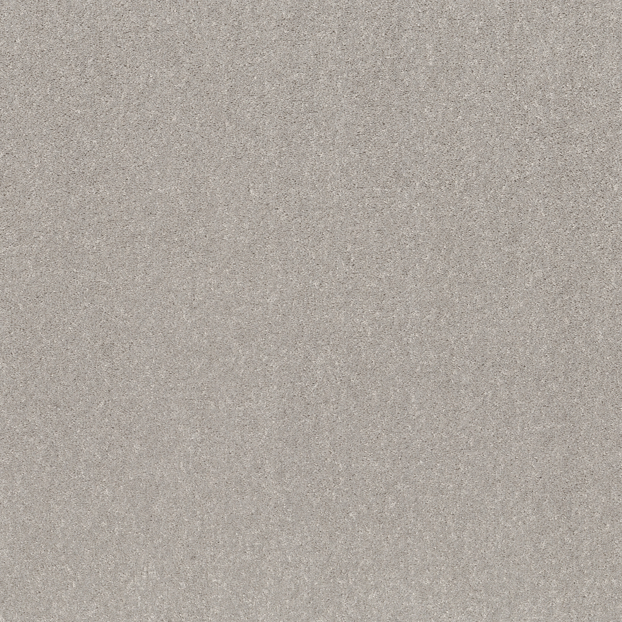 Contemporary Vision HGR89 00540 | Shaw Builder Flooring