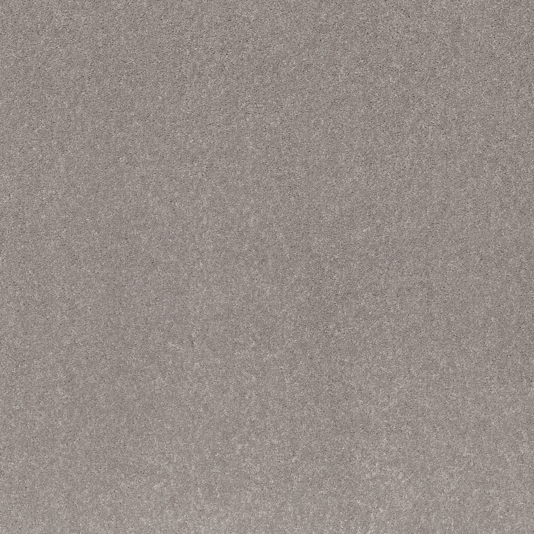 Enchanted Vision-Mystic Heather