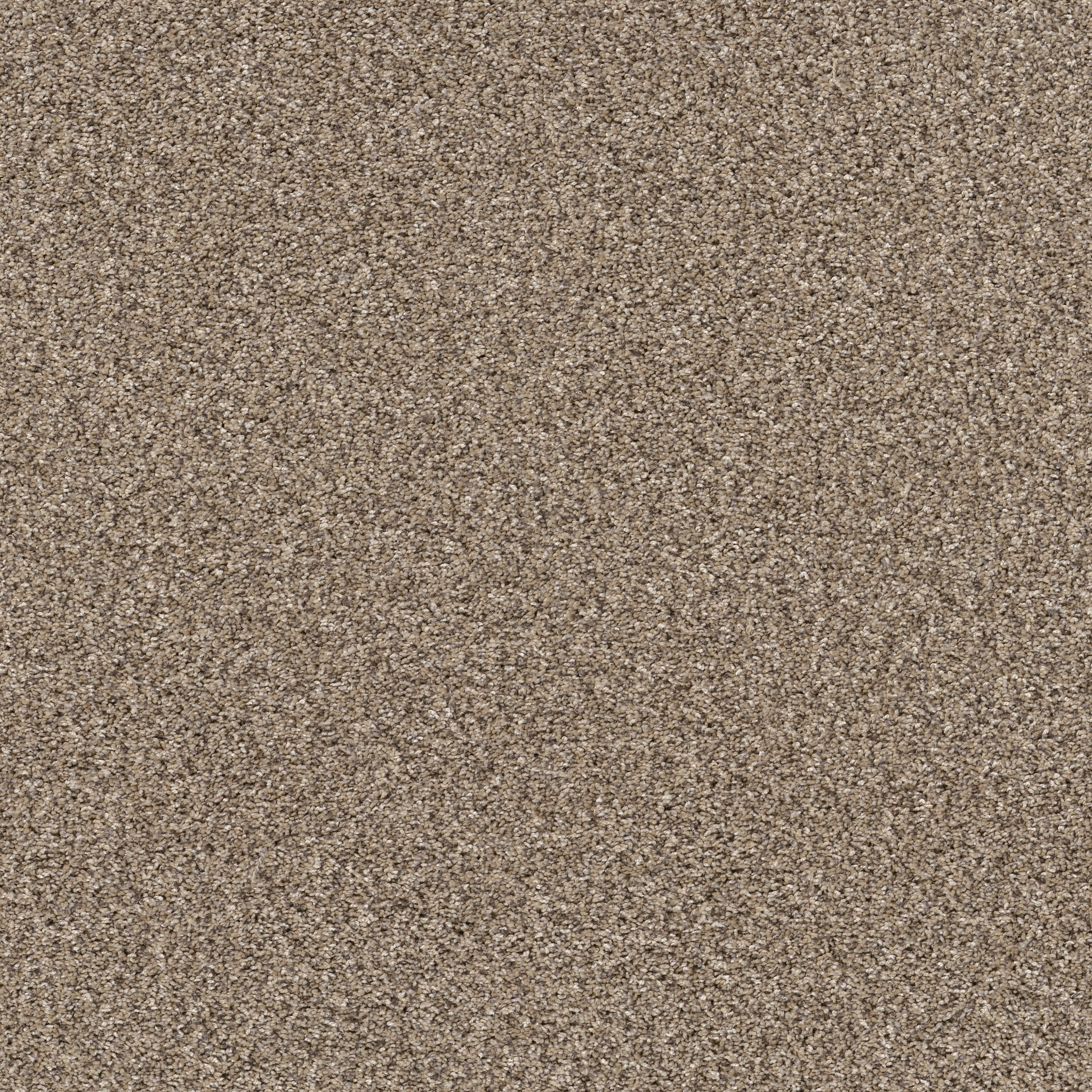 Gable Point I 12 - Sea Shell - HGR93_00100