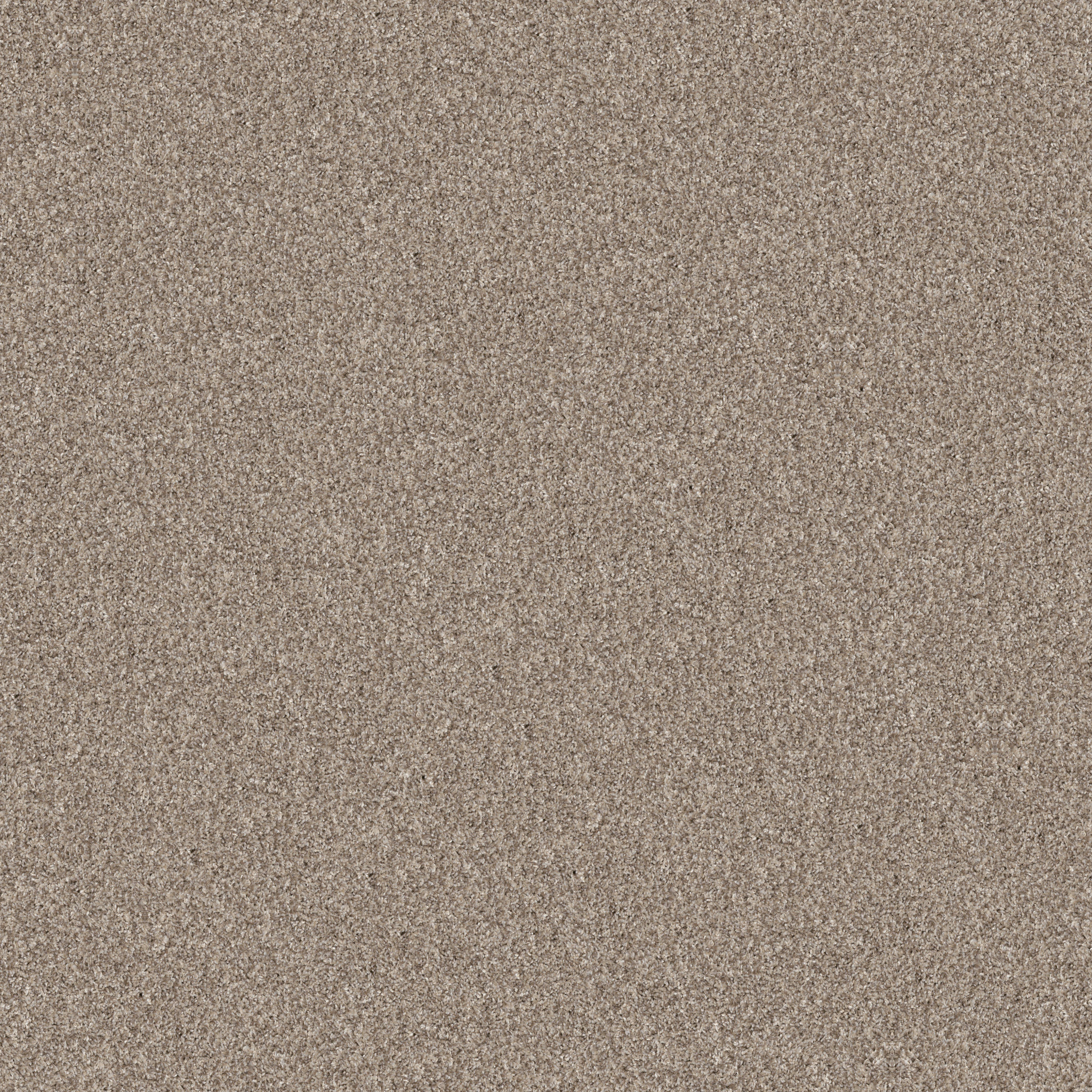 Gable Point I 15-Natural-HGR94_00109